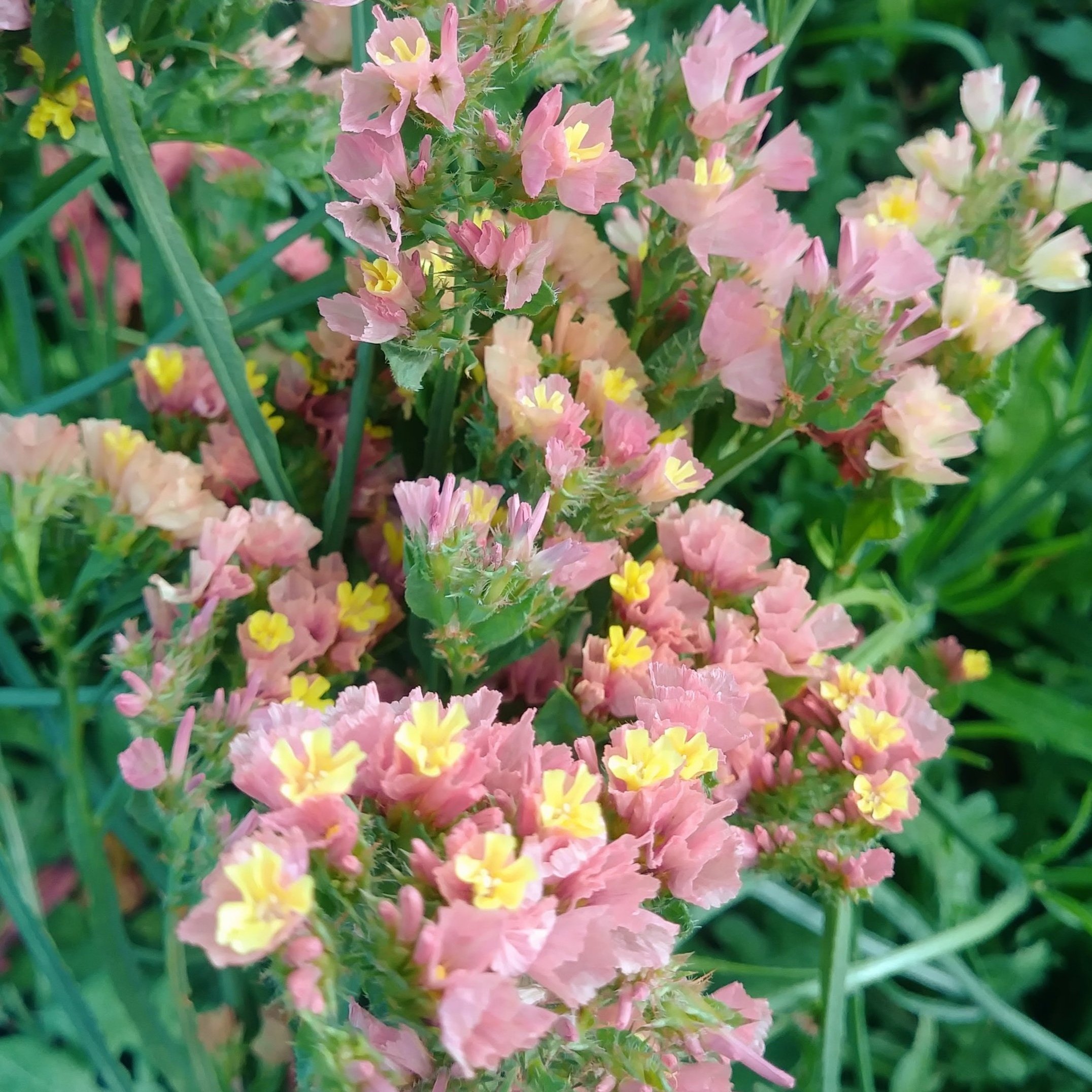 20190815_175026.jpg