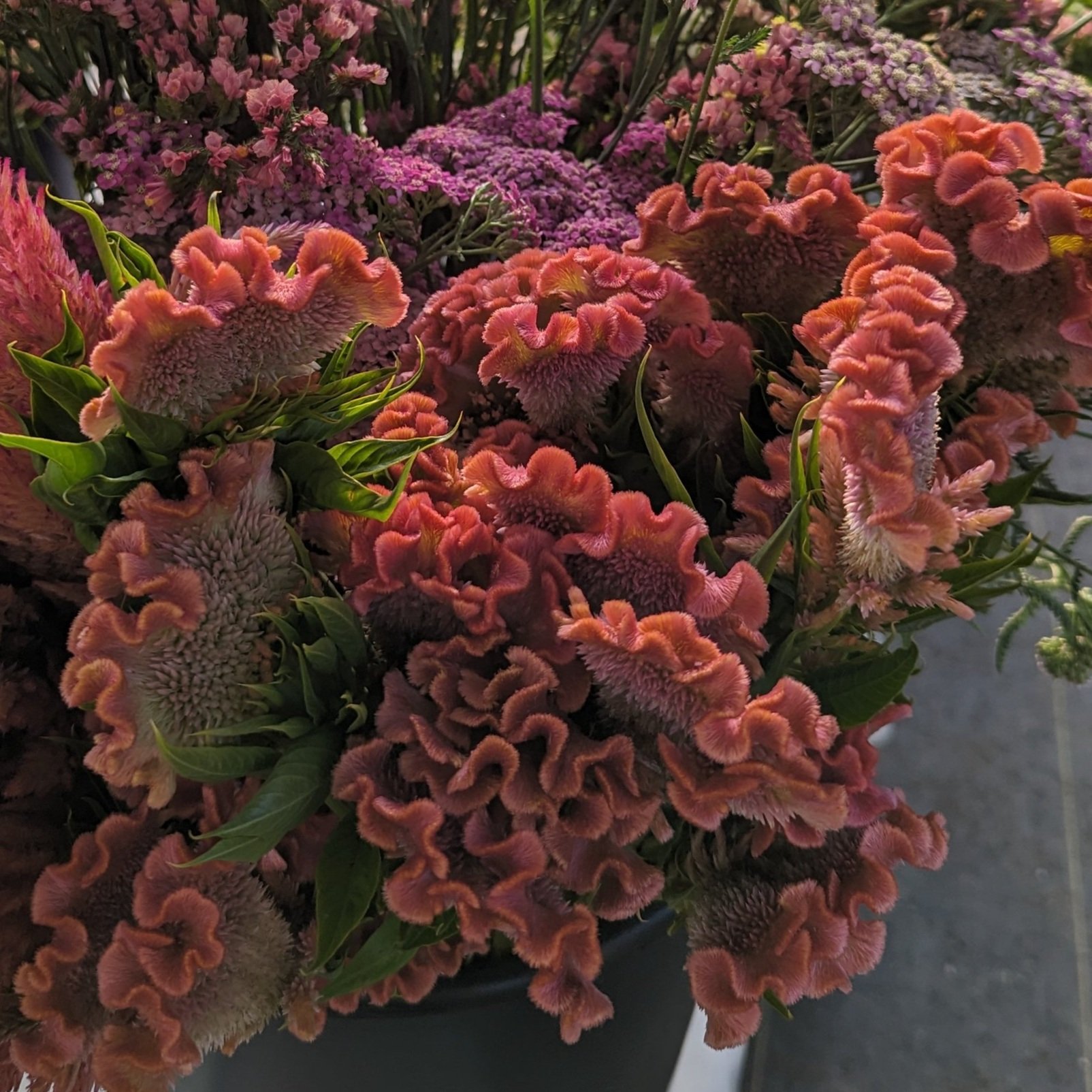 PXL_20230919_222726407+%281%29.jpg