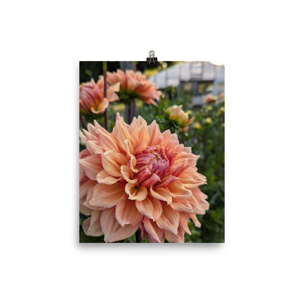 enhanced-matte-paper-poster-(in)-8x10-transparent-672ad60827505.jpg