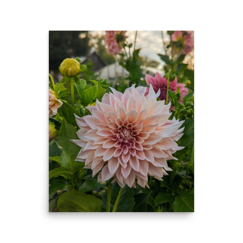 enhanced-matte-paper-poster-(in)-16x20-front-672ad767bb085.jpg