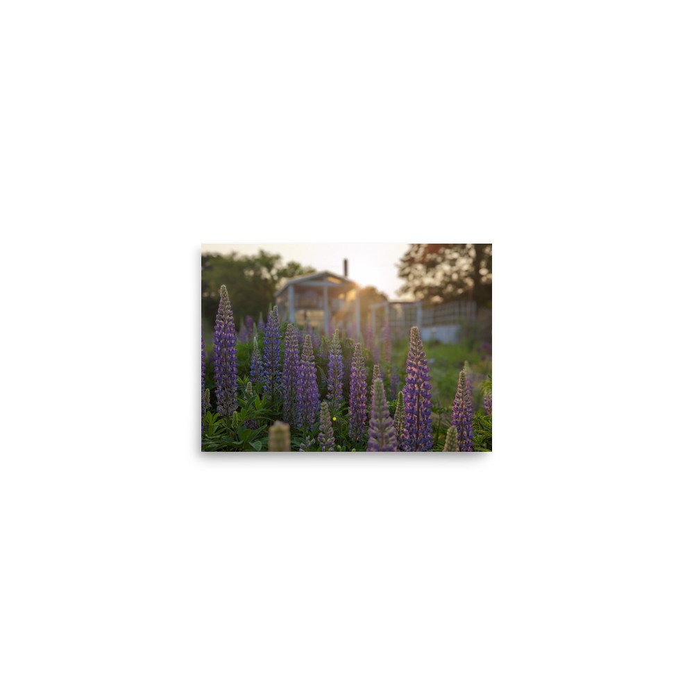 enhanced-matte-paper-poster-(in)-5x7-front-672ad94234956.jpg