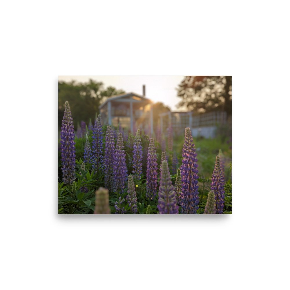 enhanced-matte-paper-poster-(in)-8x10-front-672ad94234a98.jpg