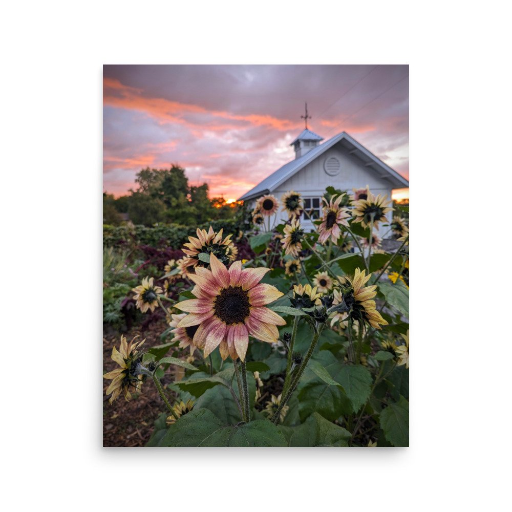 enhanced-matte-paper-poster-(in)-16x20-front-672adacc0f976.jpg
