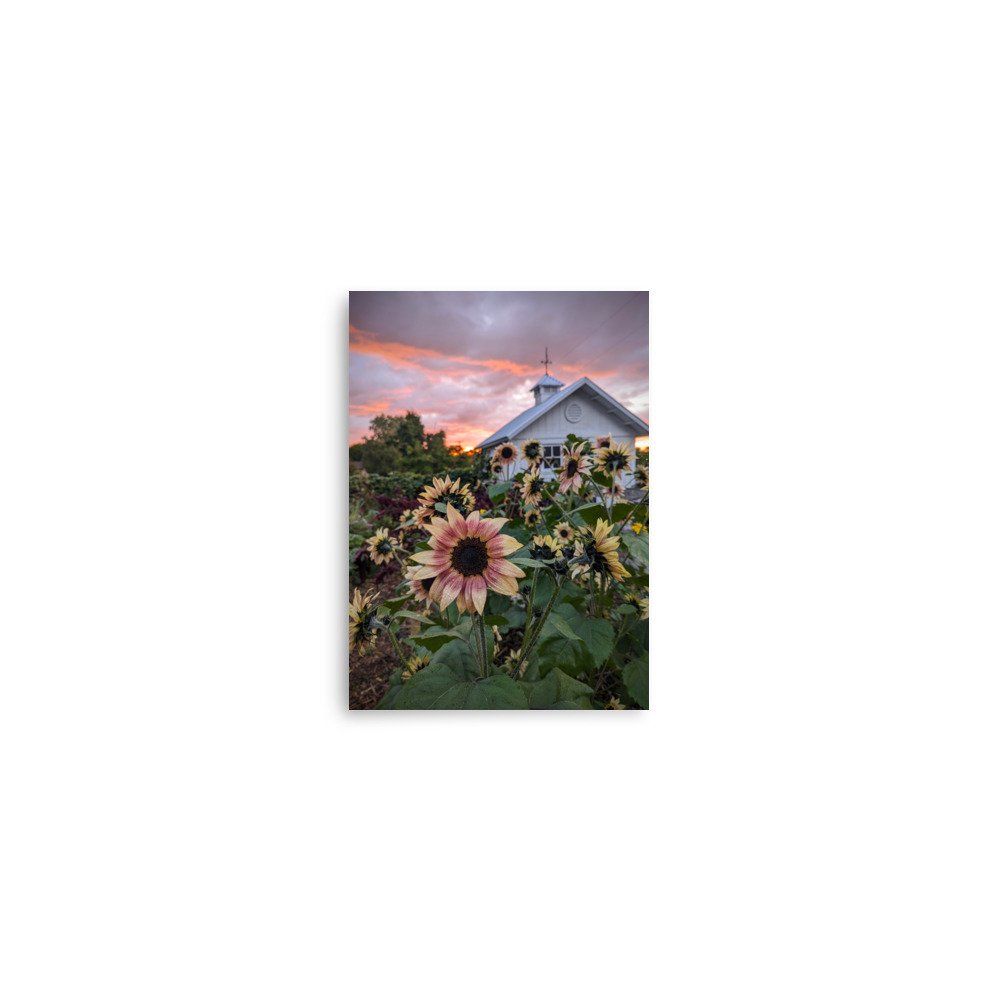 enhanced-matte-paper-poster-(in)-5x7-front-672adacc1082e.jpg
