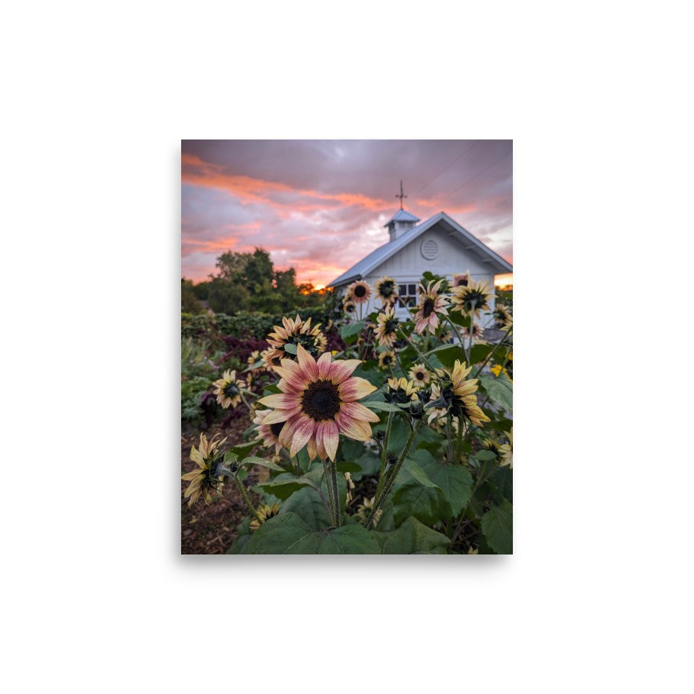 enhanced-matte-paper-poster-(in)-8x10-front-672adacc1097f.jpg