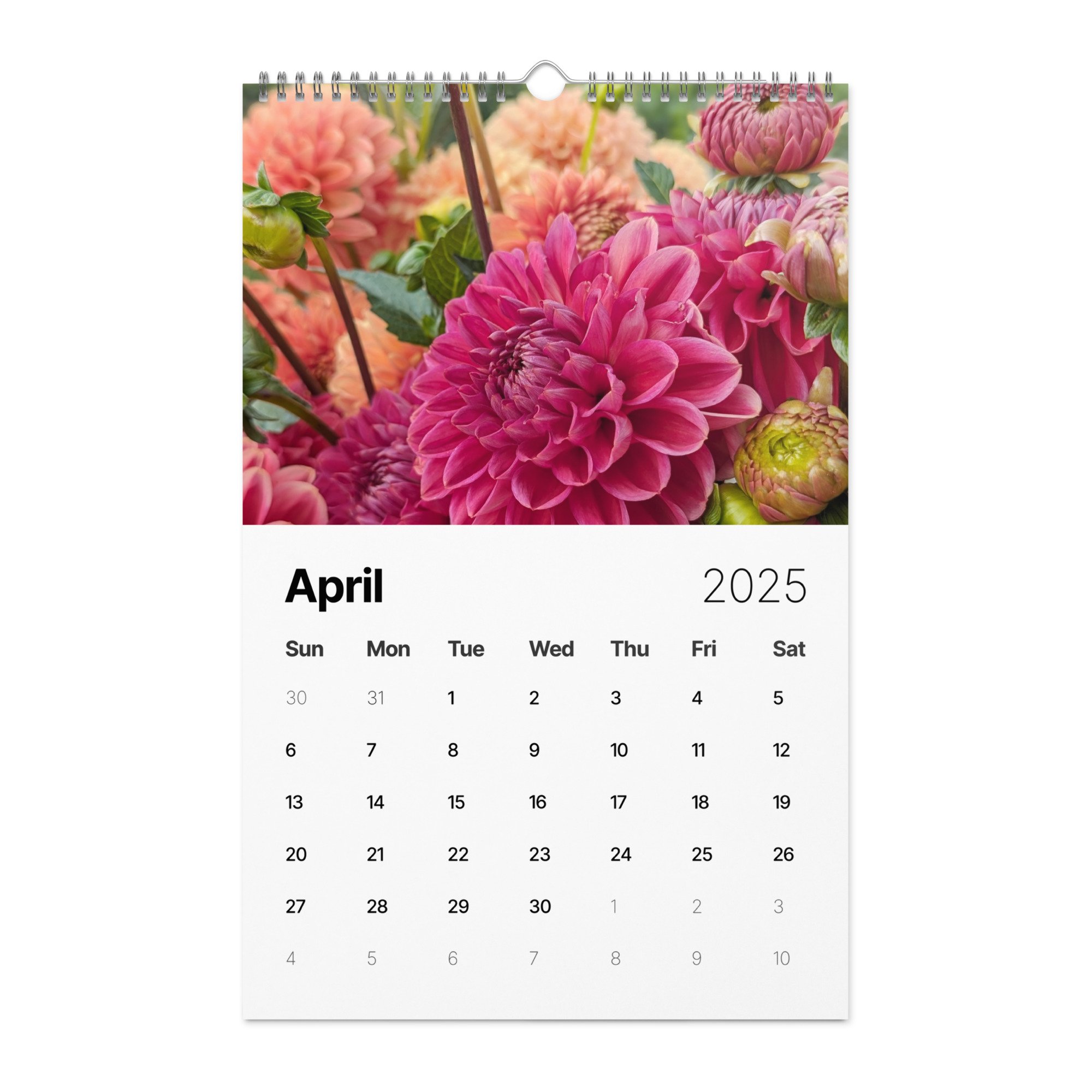wall-calendar-(2025)-start-w-sun-11x17-front-672b97c00c7ea.jpg