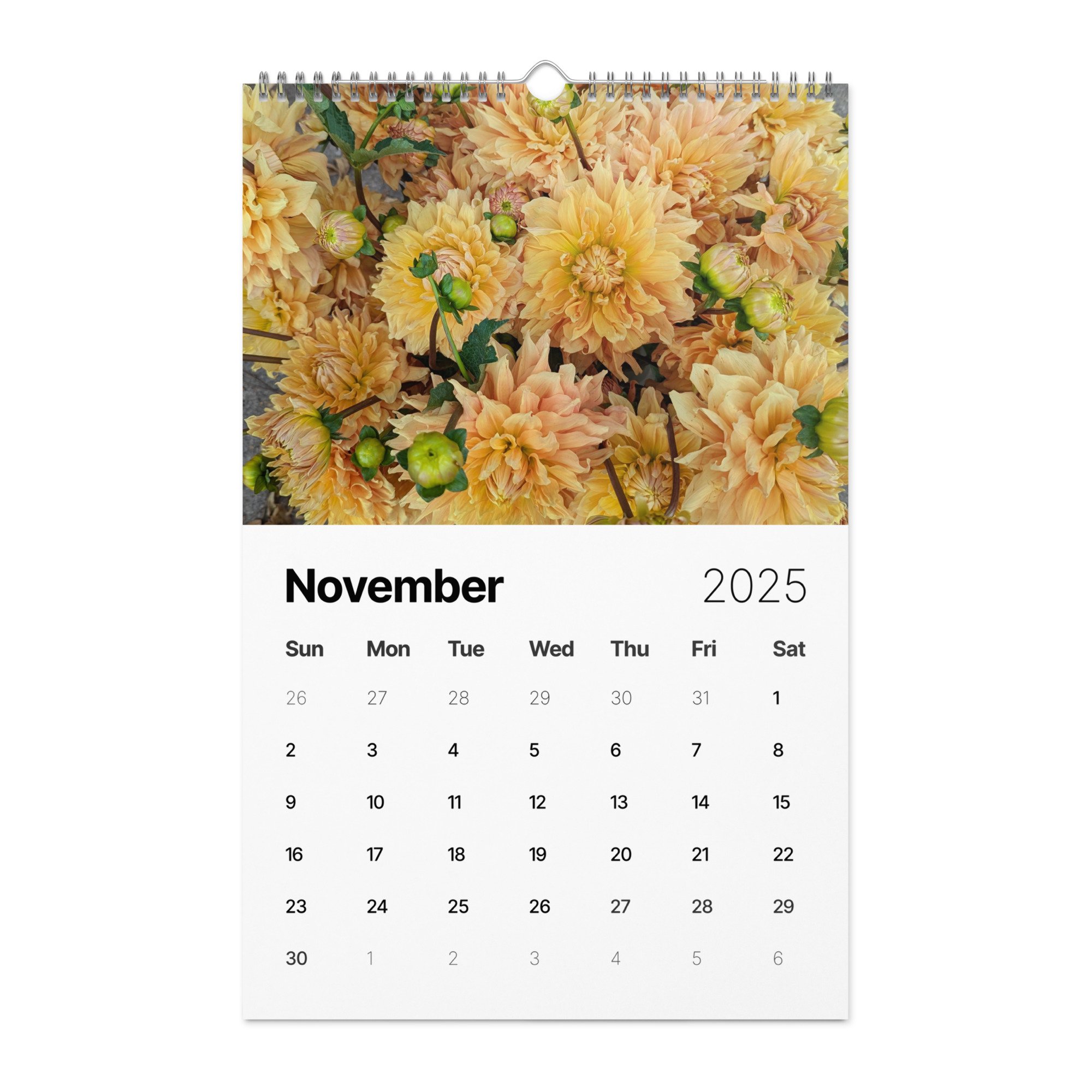 wall-calendar-(2025)-start-w-sun-11x17-front-672b97c00eadb.jpg