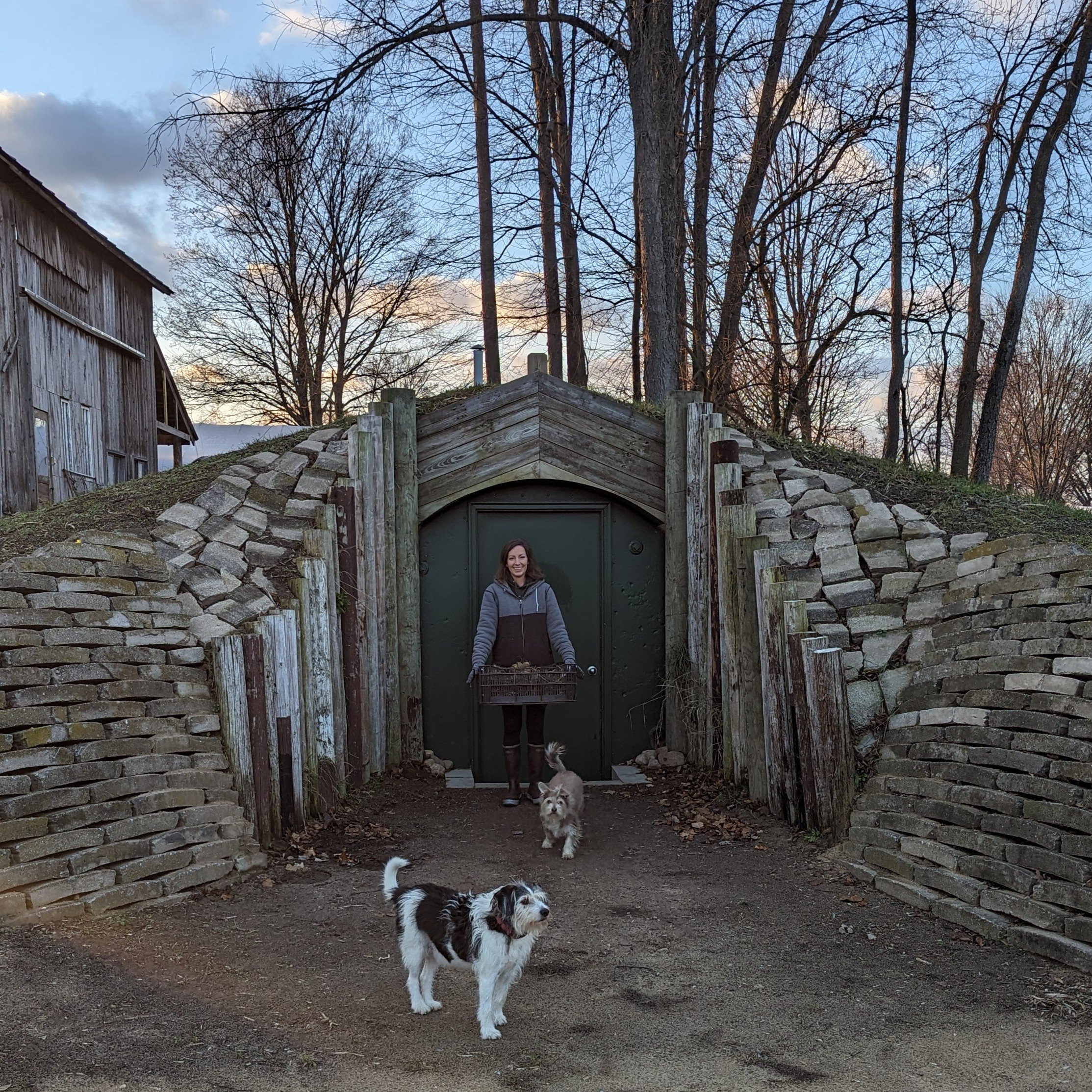 Hobbit Hole Root Cellar