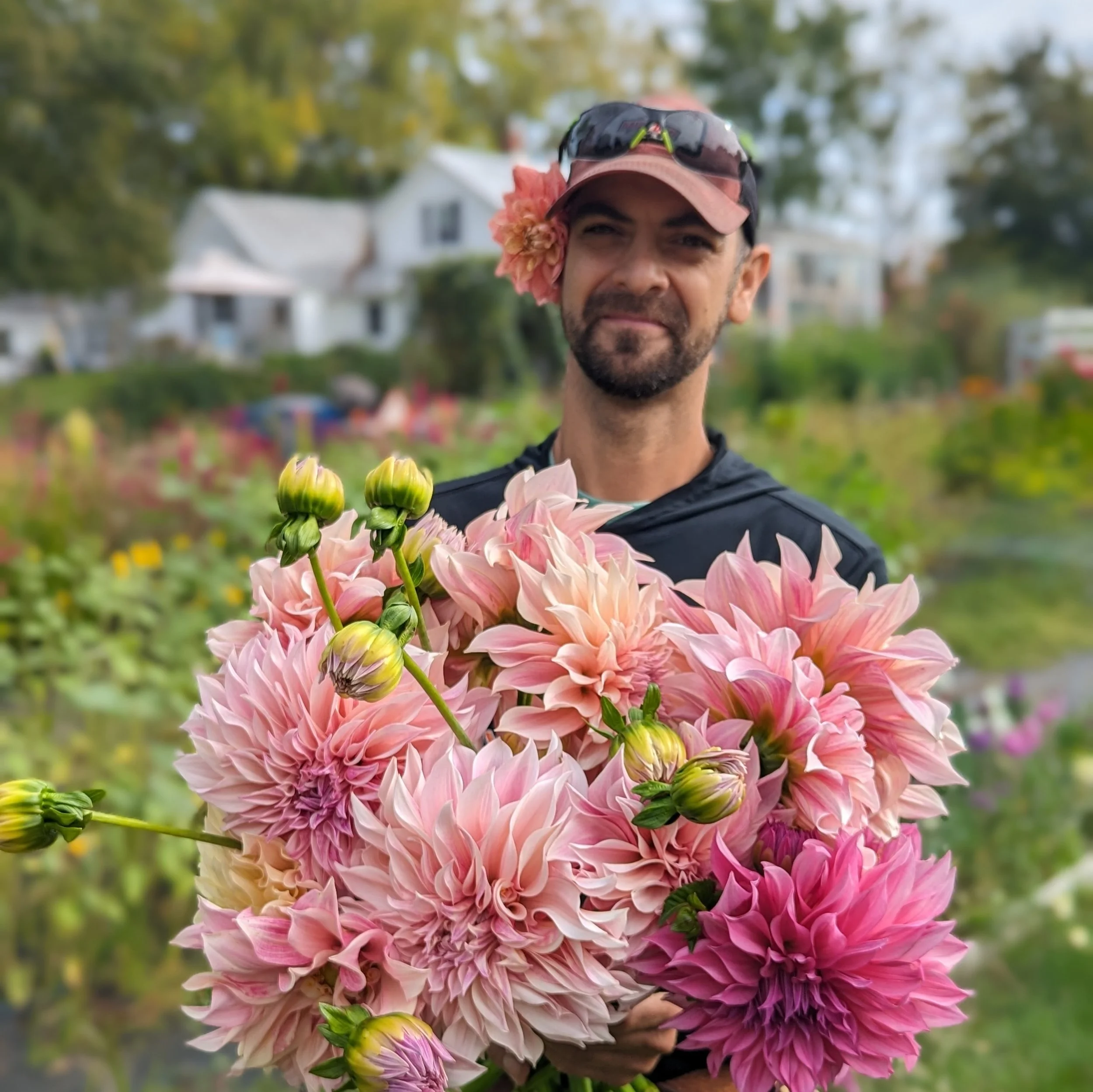 Why Aren’t My Dahlias Blooming Yet?