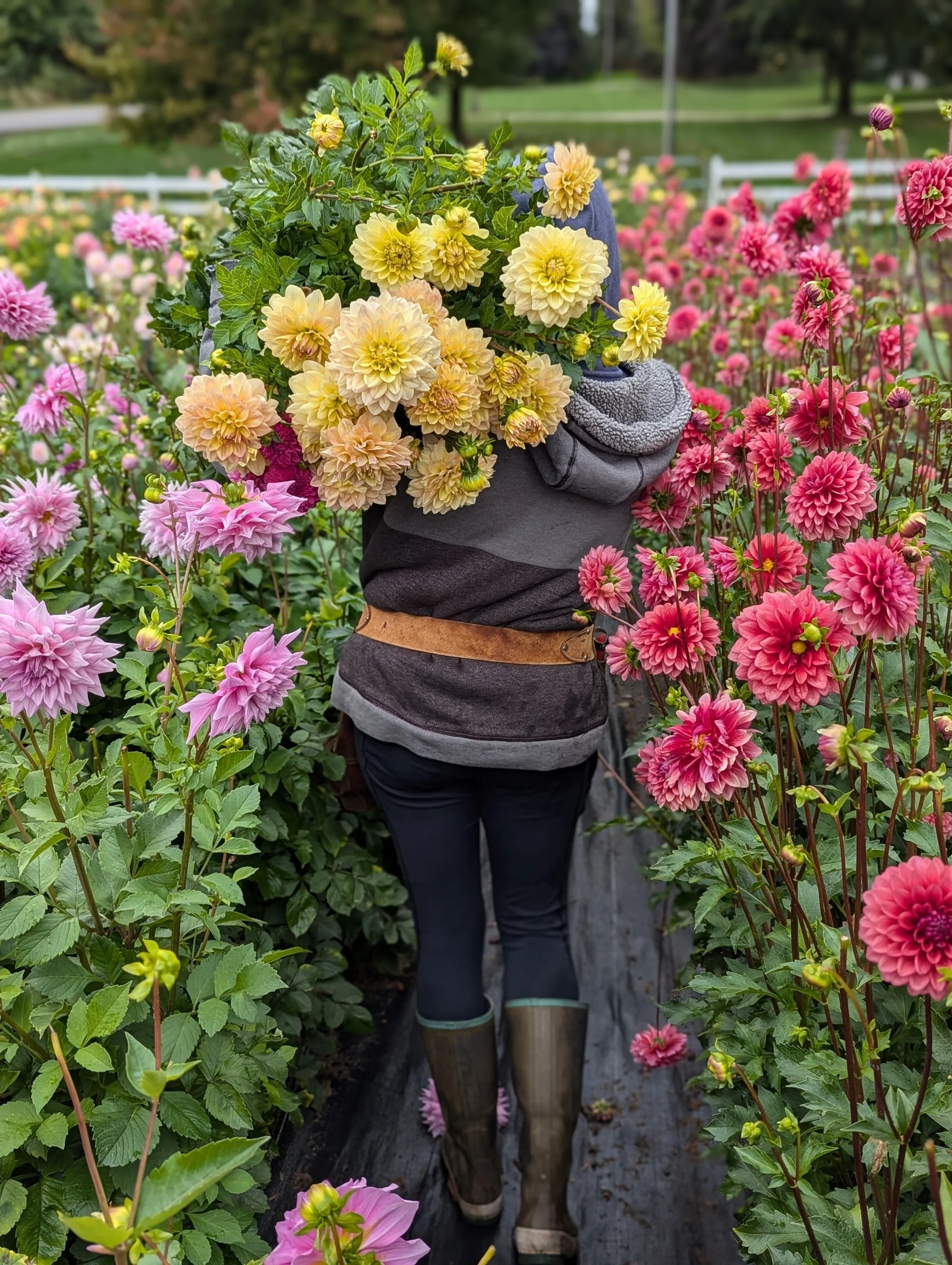 PXL_20251007_160002172.PORTRAIT~2 (1).jpg