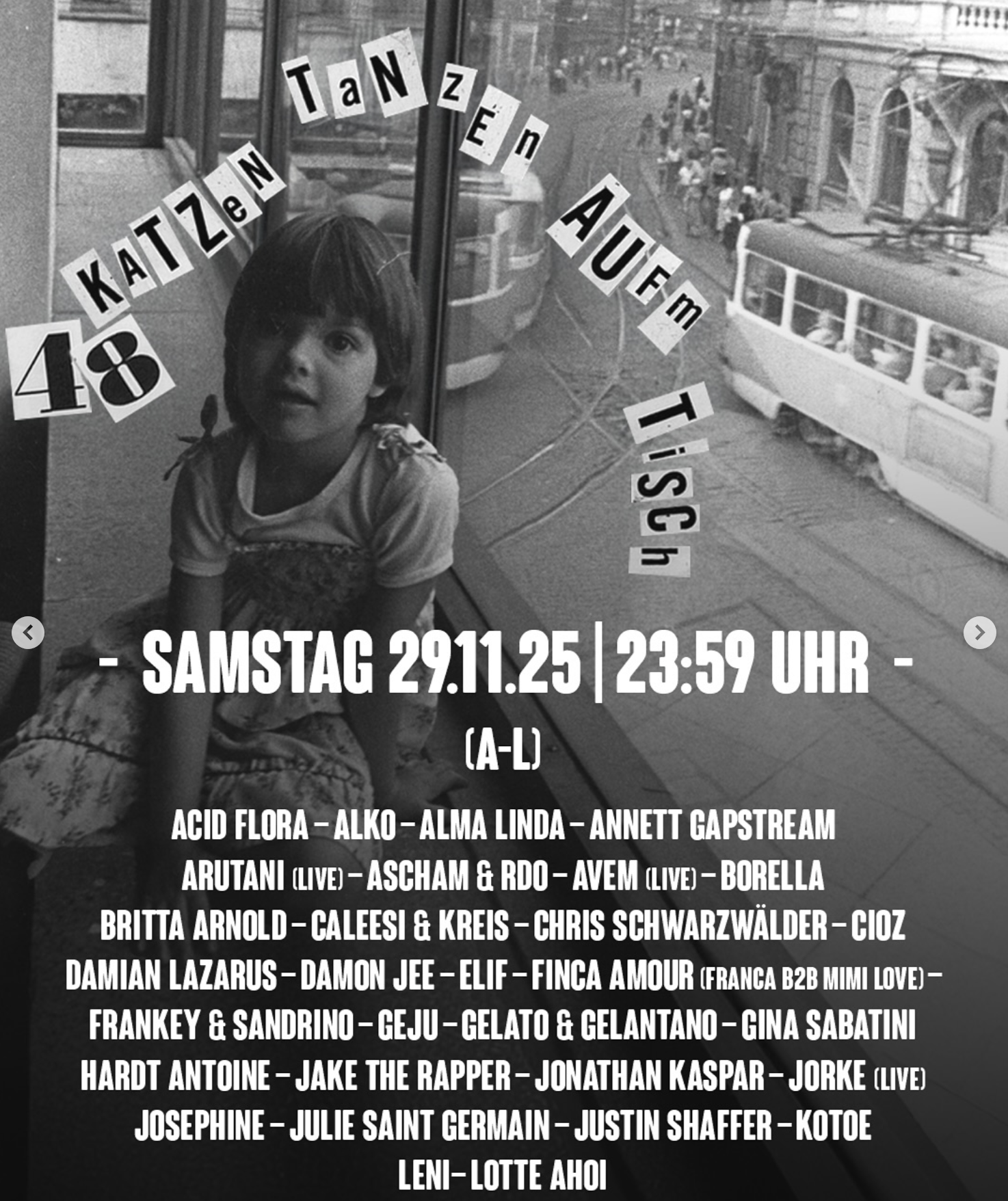 48 Katzen tanzen auf’m Tisch