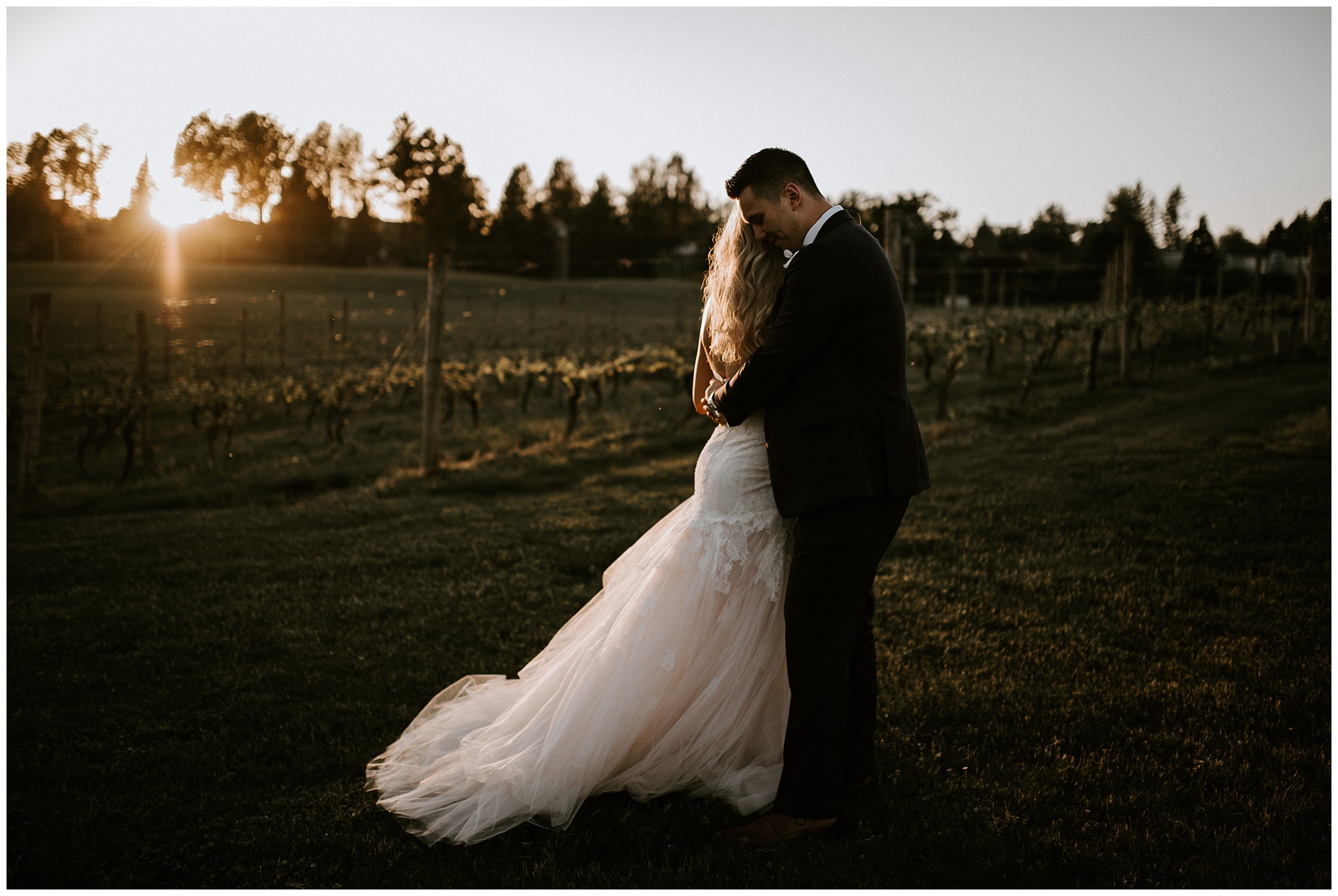 A bride and groom at sunset in the vineyard at Mount Lehman Winery 