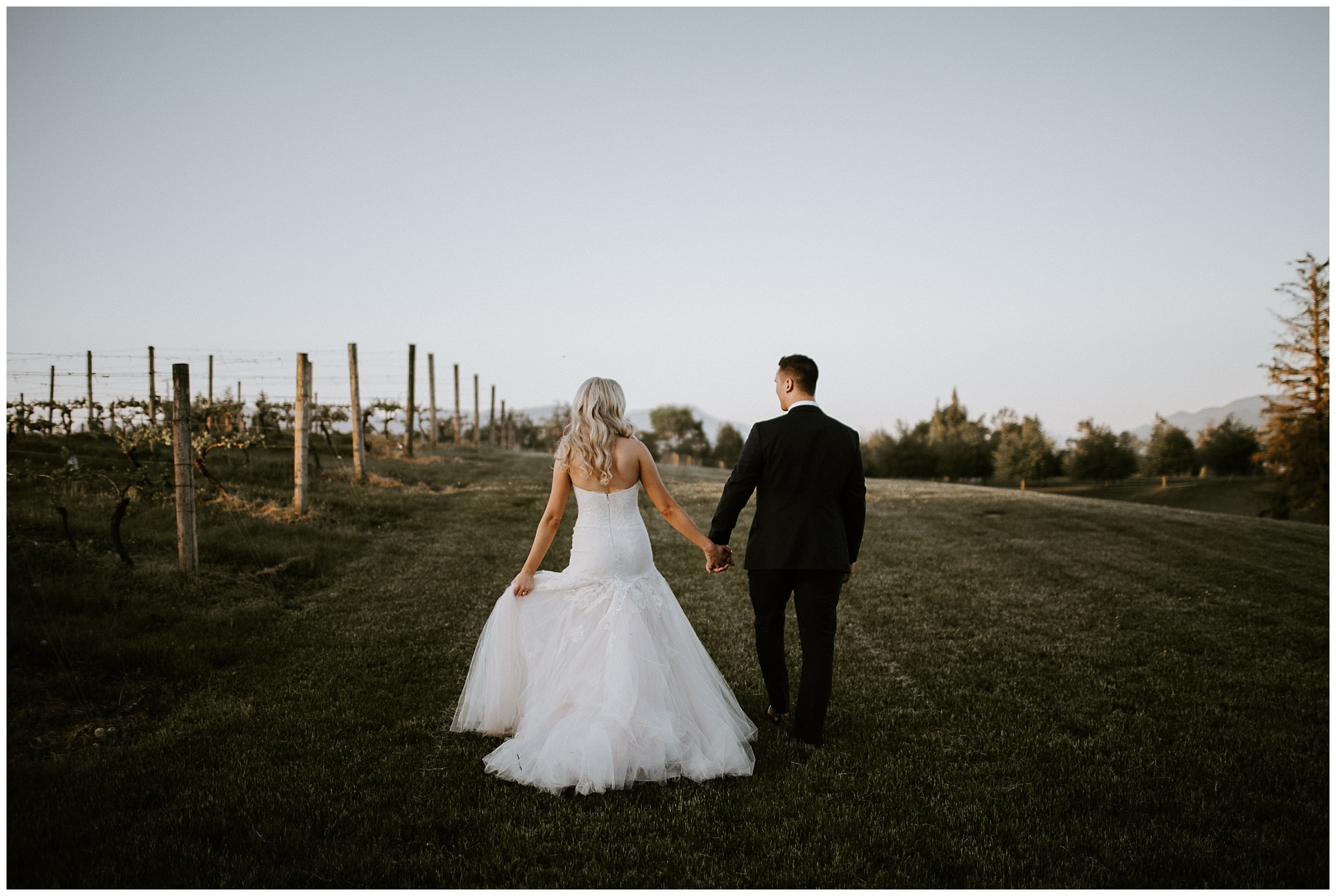 A bride and groom in the vineyard at Mount Lehman Winery