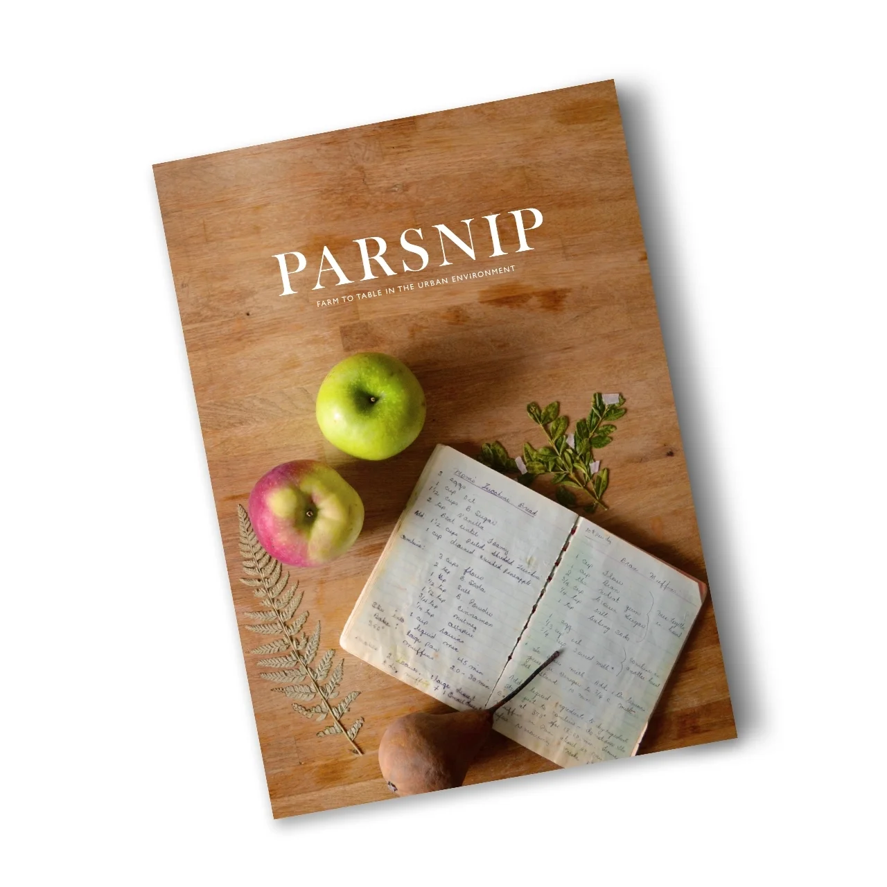 parsnip // indie zine 