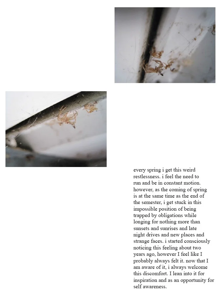 Screen Shot 2016-11-16 at 8.44.16 PM (2).jpg