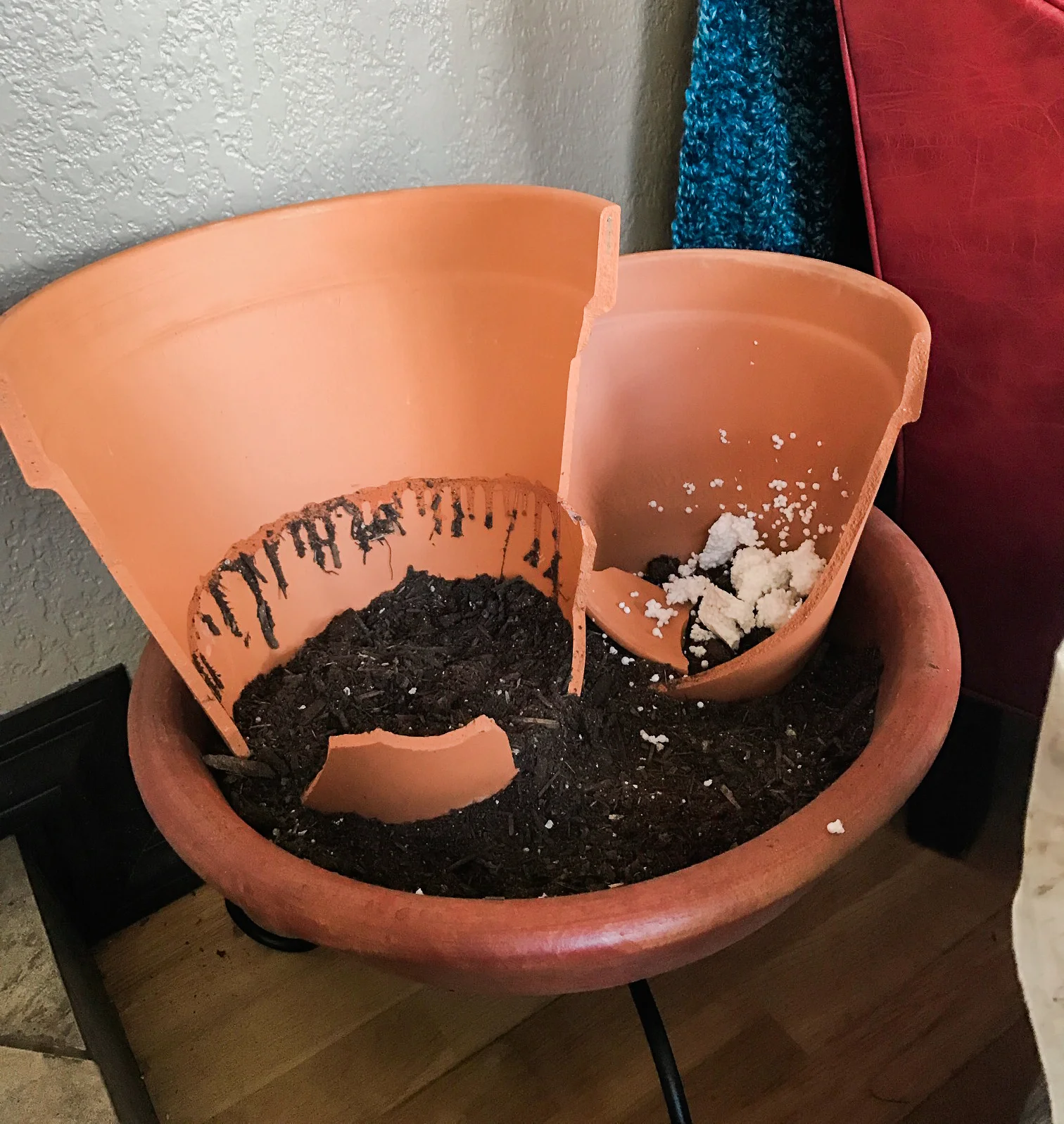 Humble beginnings
