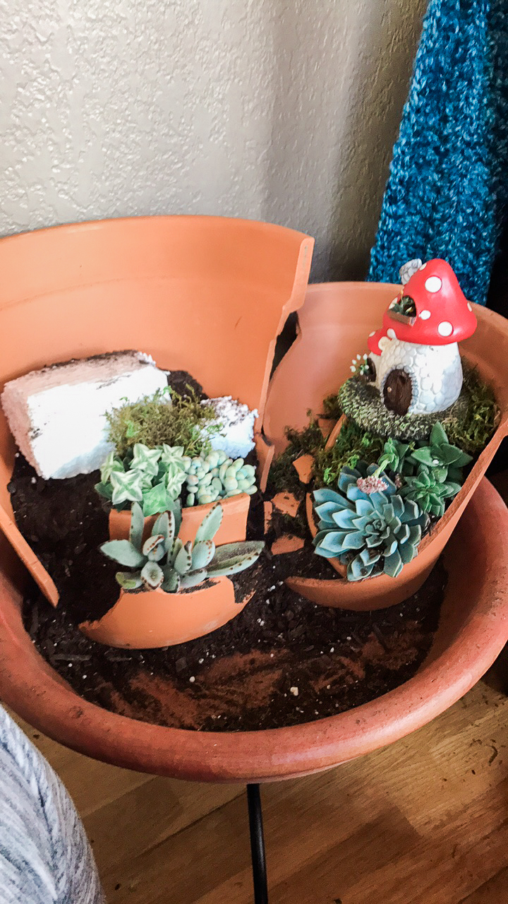 Layering plants with pieces of Terra Cotta