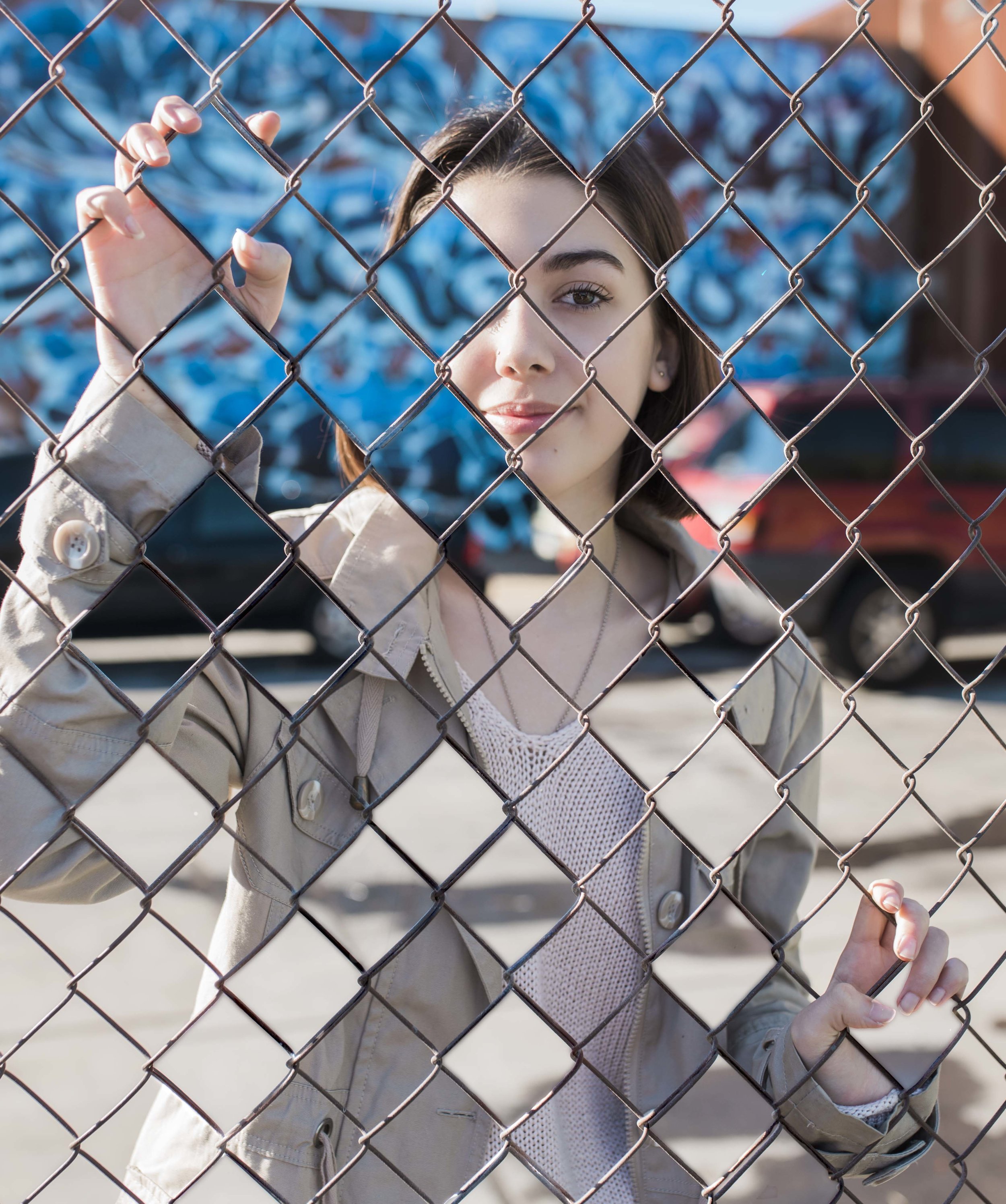 Fence Art downtown