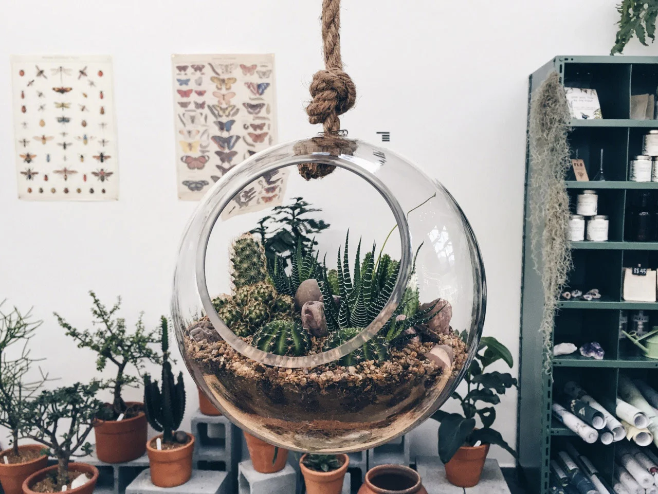 Flo-Atelier-Botanico_02.jpg