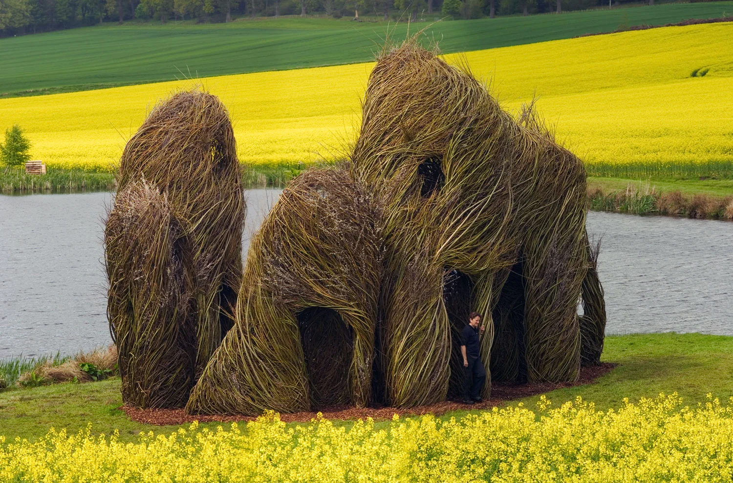 Patrick-Dougherty-02.jpg