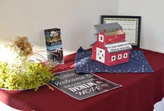 Diamonds, Denim & Hope, Oh My!