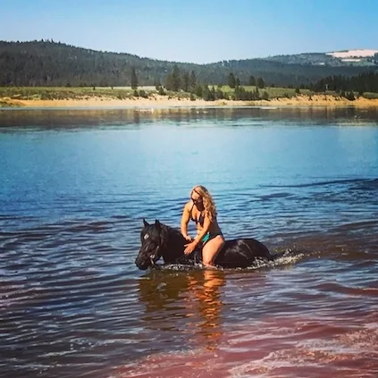 TWO NEW RIDES FOR THE SUMMER!