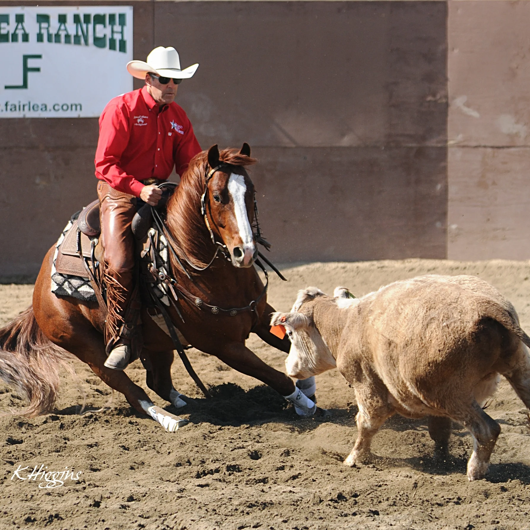 Richard Winters Horsemanship Clinic with Cows May 27 & 28