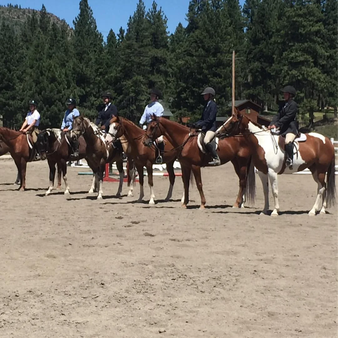 PREC Schooling Show This Weekend!
