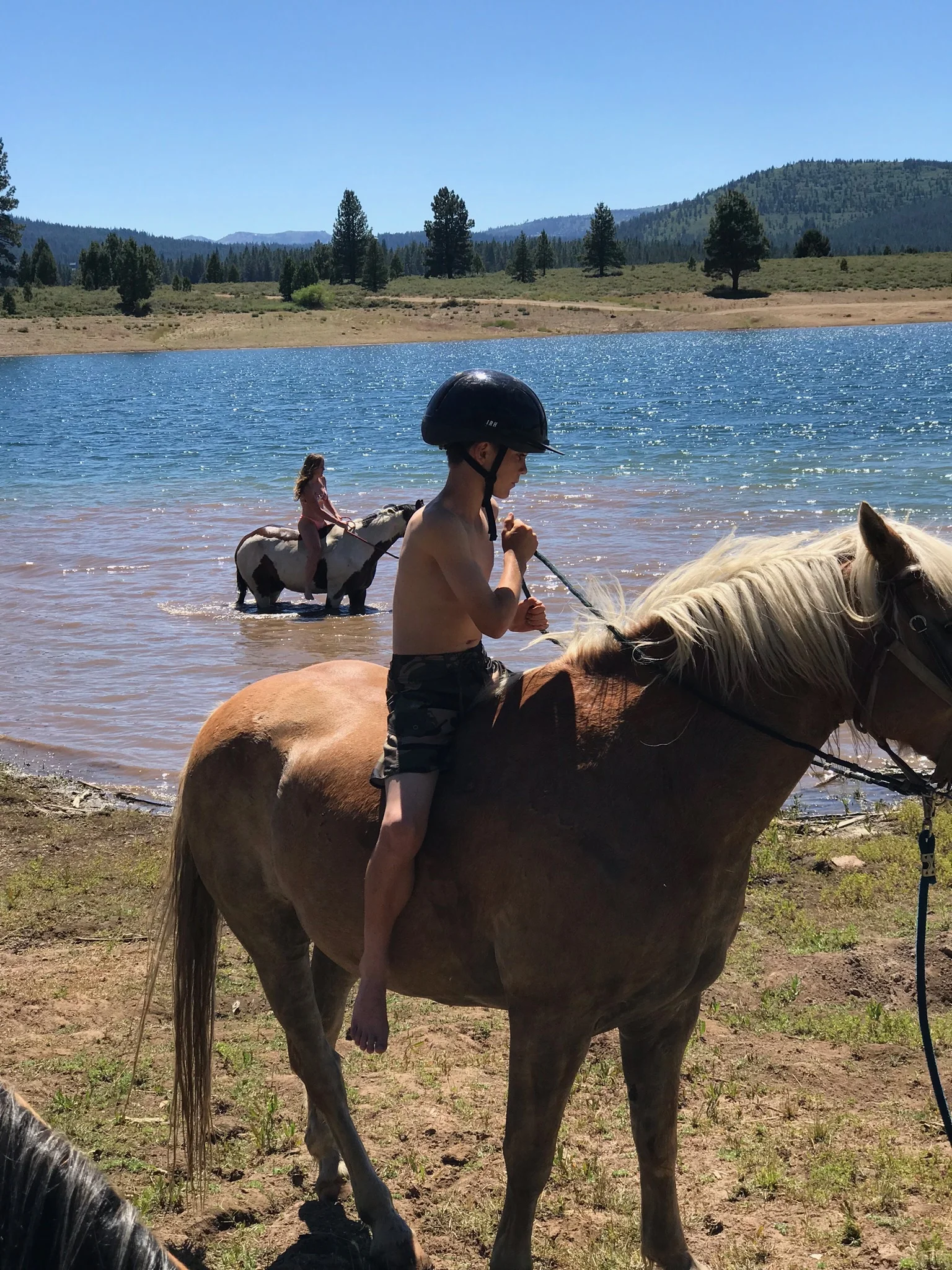 Fall Horse Fest & Pumpkin Patch