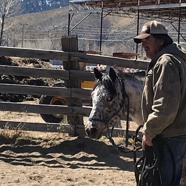 Ed got roped into helping with Blue Moon today. Who knew Ed was a pony trainer❤️