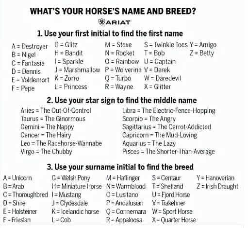 Everyone play along.. something funny to laugh at...🤣🤣 we can't wait to see what your horse's name and breed will be.
#ariat #pipingrockequestriancenter #pipingrockequestrian #pipingrockhorses #comeride #trailrides #ddotranch #doyleCA #stillriding 