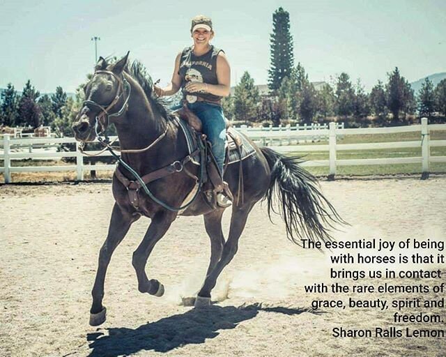 *
&quot;The essential joy of being with&nbsp;horse is that it brings us in contact with the rare elements of grace, beauty, spirit, and fire.&quot; Sharon Ralls Lemon *
*
*
Hope everyone is ready for summer... we sure are.
*
*
*
Photo credit- @origin