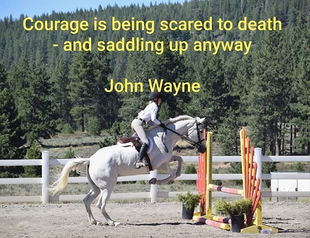 Courage is being scared to death and saddling up anyway.
- John Wayne *
*
*
We are so happy summer is here, we are ready for show season to now start. Who else is ready??
*
*
*
@mikaylaawalsh and Bunny🐰
*
*
*
*
#pipingrockhorses #pipingrockequestria