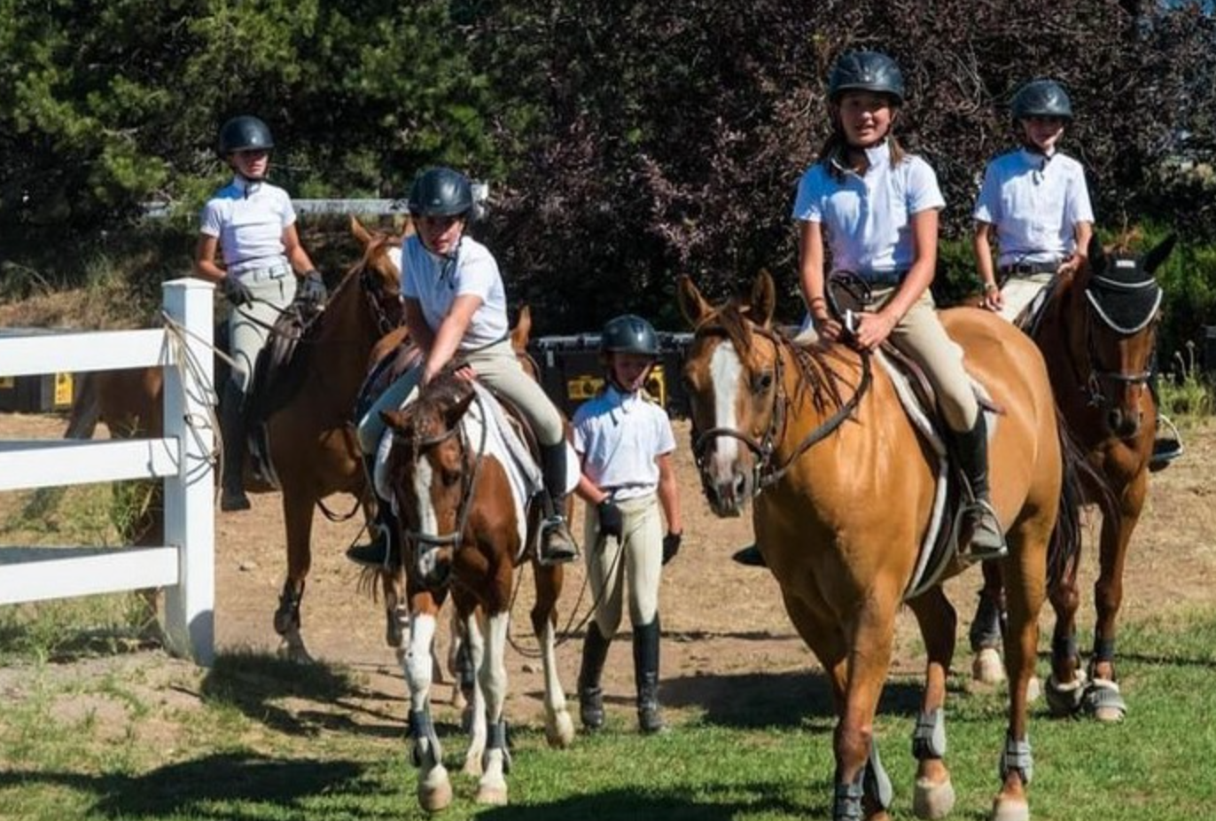 Sierra Riding Academy — Piping Rock Horses