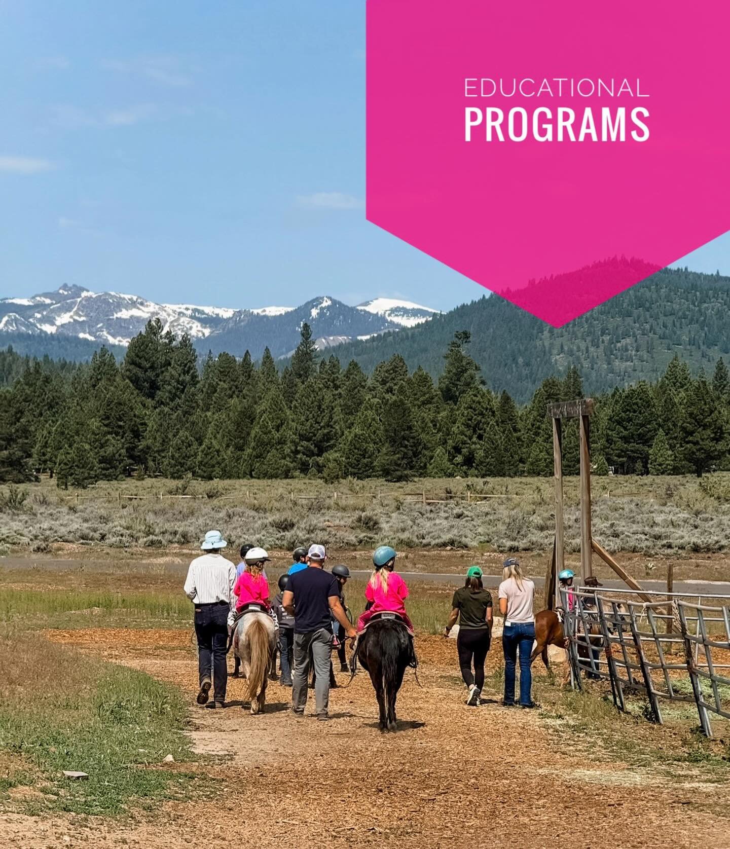 At Piping Rock Equestrian Center, learning goes far beyond the classroom!

We love welcoming school groups, Girl Scout troops, and youth organizations of all sizes for unforgettable days on the farm. Whether it&rsquo;s a small group visit or a full-s