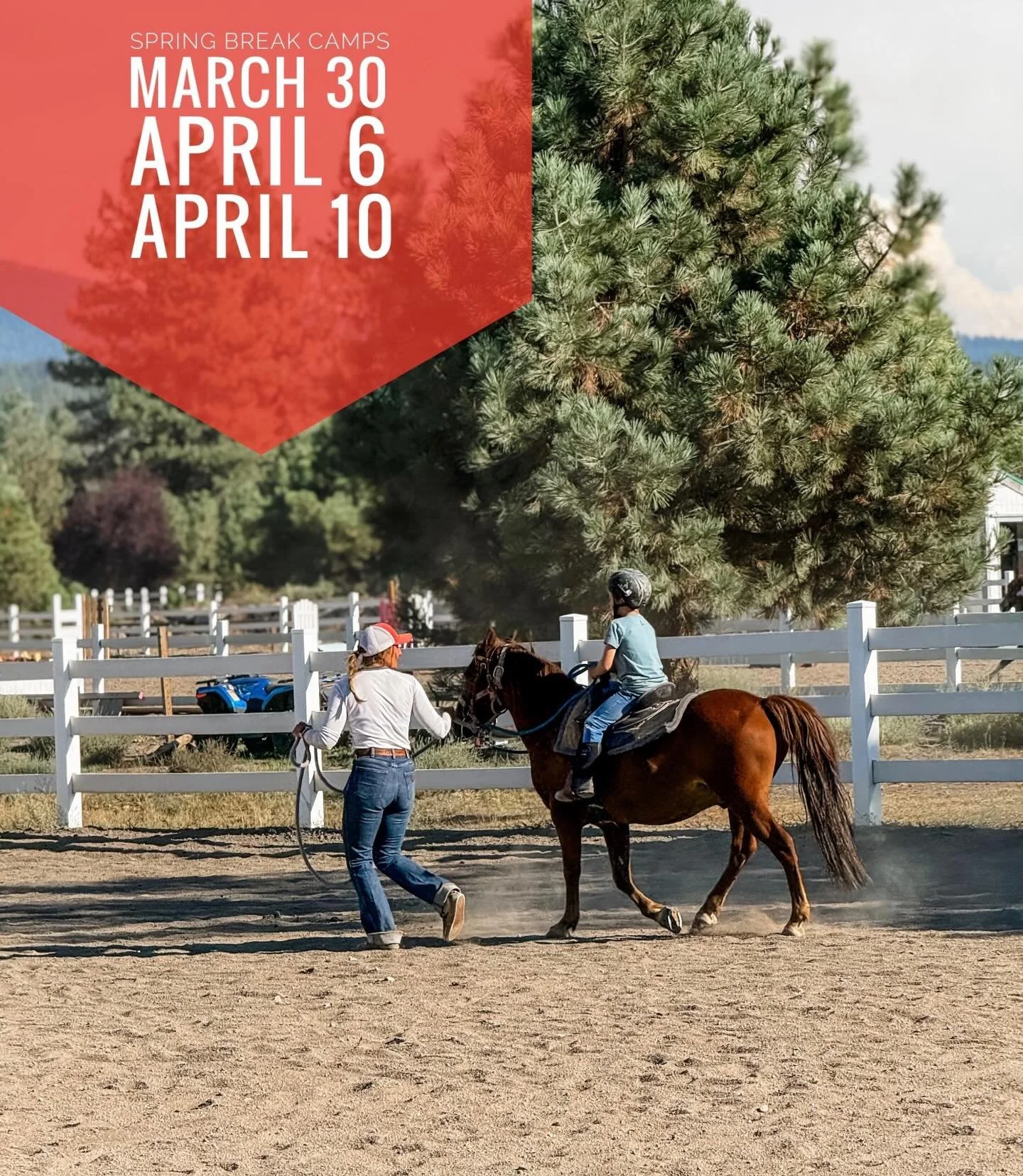 Spring Break Horse Camp at Piping Rock Equestrian Center

Trade screen time for saddle time this spring break! At Piping Rock Equestrian Center, kids get the chance to experience the magic of horses, the beauty of the California mountains, and the ti
