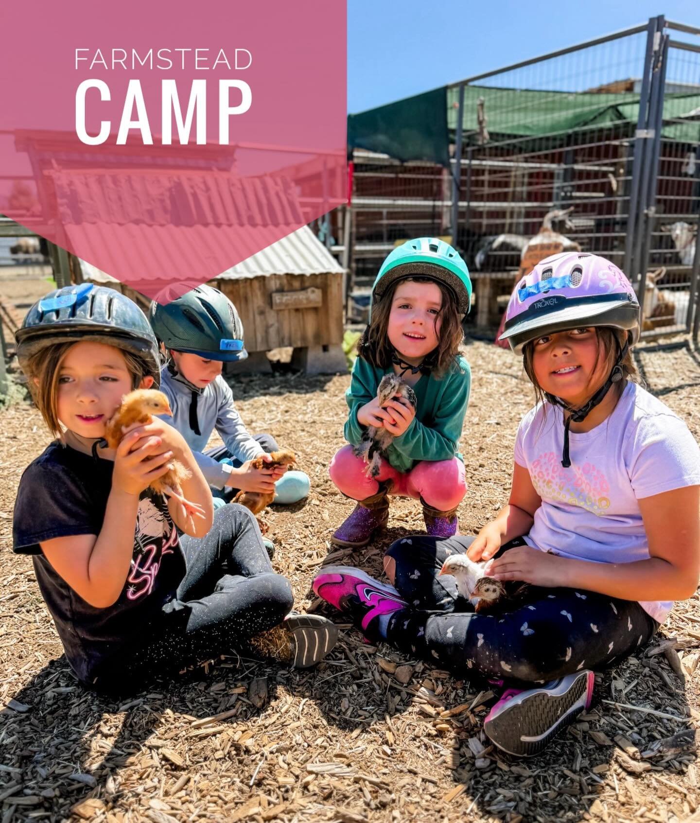 Looking for a magical summer experience for your little one? Our Farmstead Camp is a half-day farm and nature enrichment program (9:00&ndash;12:00) designed especially for children ages 3&ndash;7.

Each day is hands-on, boots-on-the-ground fun where 
