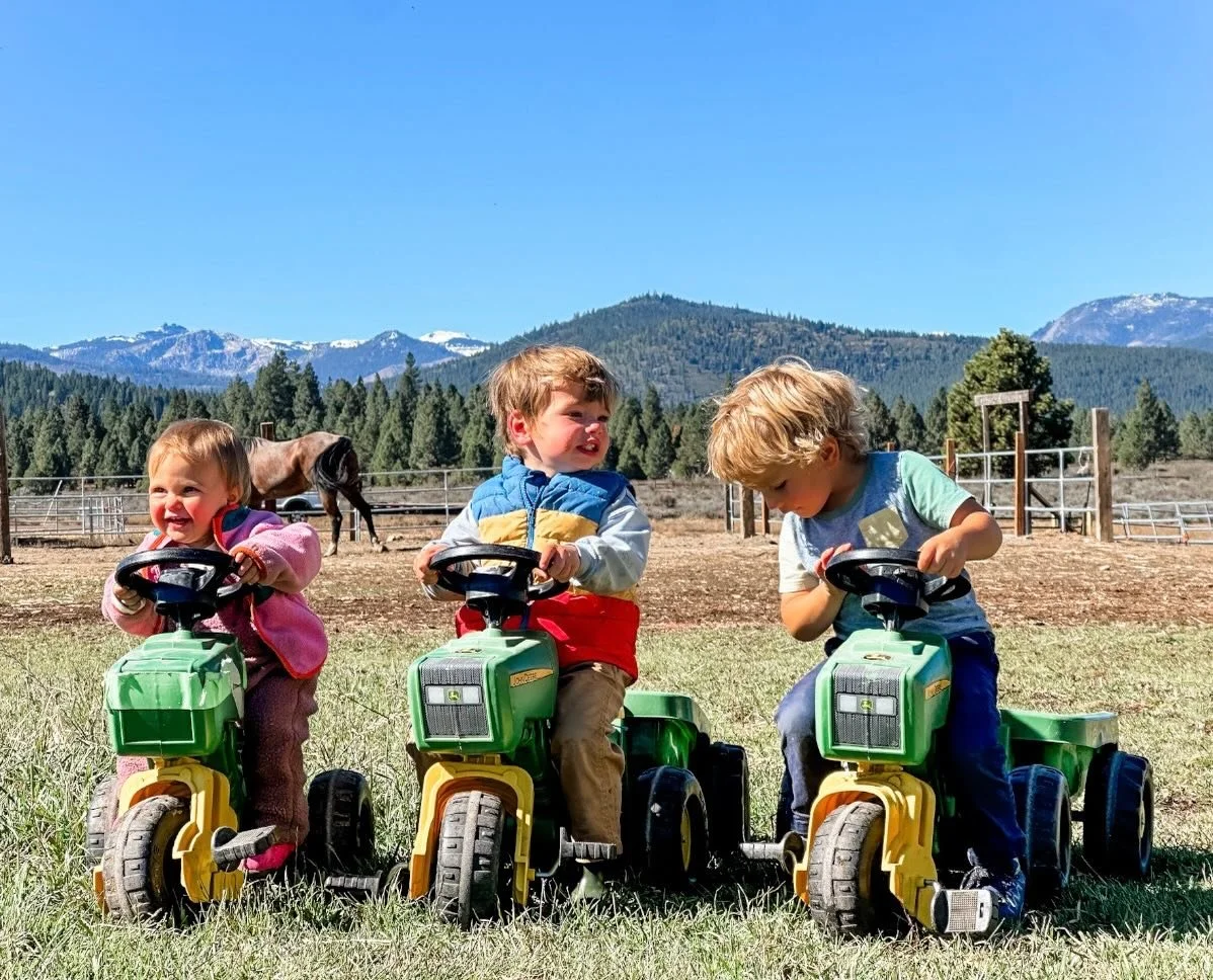 All these rainy days have us dreaming and counting down to summer in the beautiful Sierra Nevada &mdash; where blue skies stretch on forever and Lake Tahoe sparkles in the sunshine!

We can almost feel those warm arena afternoons, the scent of pine o
