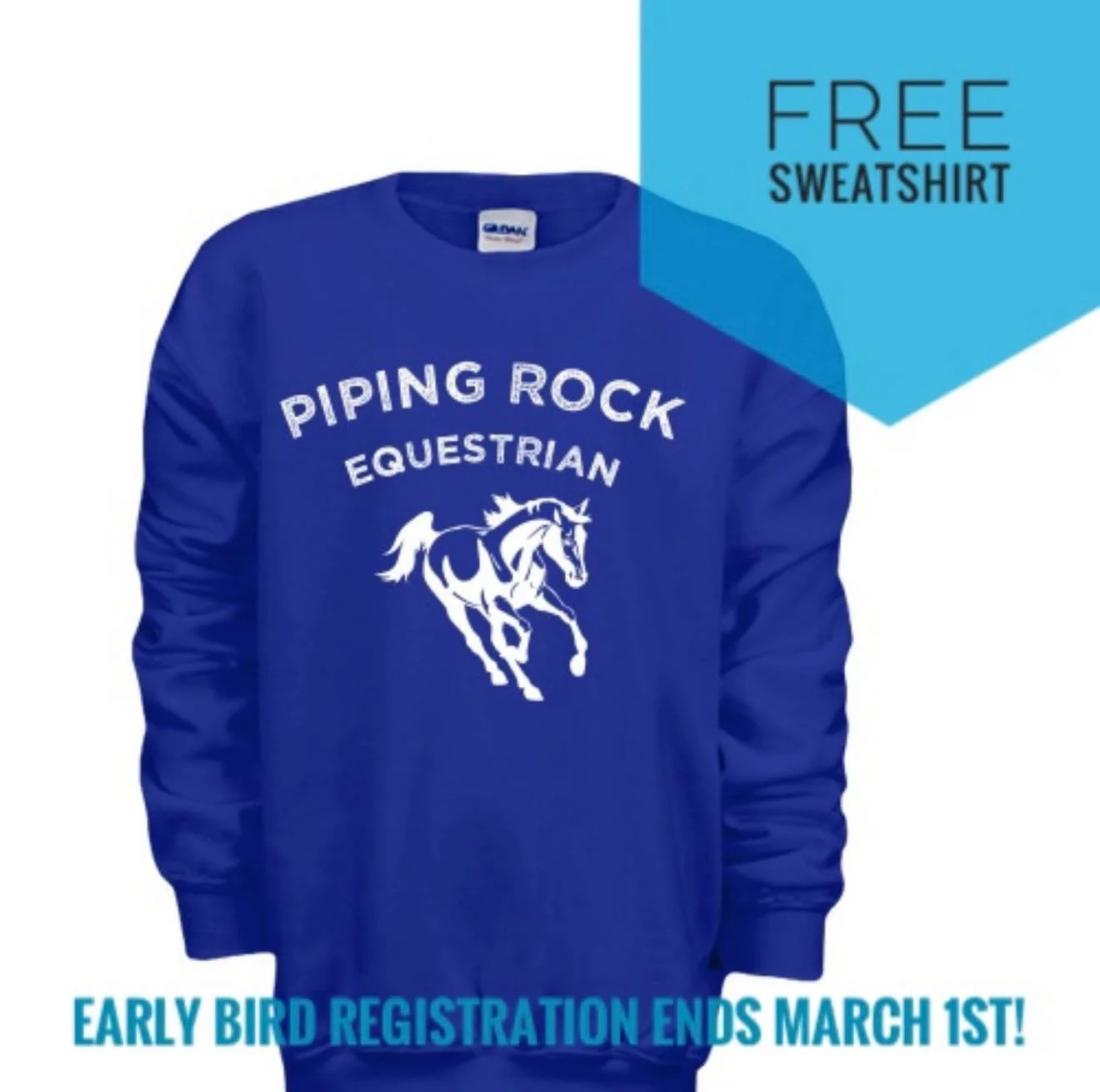 LAST WEEK FOR EARLY BIRD REGISTRATION!

Time is almost up! Families who register for any week of summer camp before March 1st will receive a FREE Piping Rock Equestrian sweatshirt for every camper &mdash; perfect for those crisp mountain mornings and