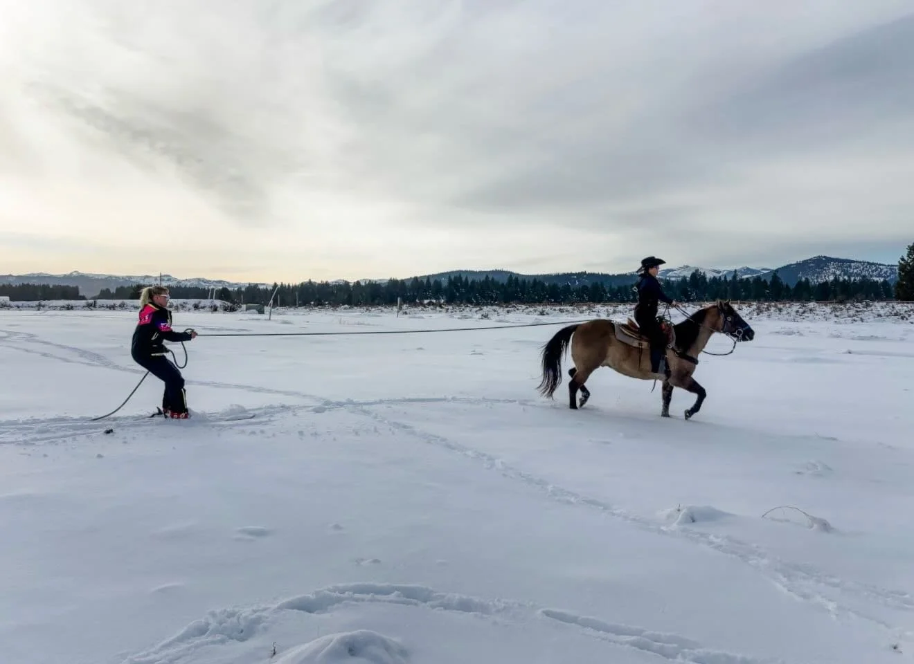There&rsquo;s no such thing as too much snow at Piping Rock Equestrian Center!

We&rsquo;re getting absolutely buried here in Truckee, and we couldn&rsquo;t be happier. Sure, it makes for world-class powder days all around Lake Tahoe, but all that sn