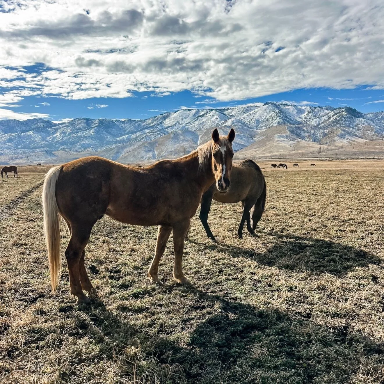 Winter is keeping us on our toes this year, and the upcoming storm forecast is looking promising for Tahoe! Snow is on the way, and with it comes that familiar excitement that signals a great season ahead. We&rsquo;re watching the weather closely and