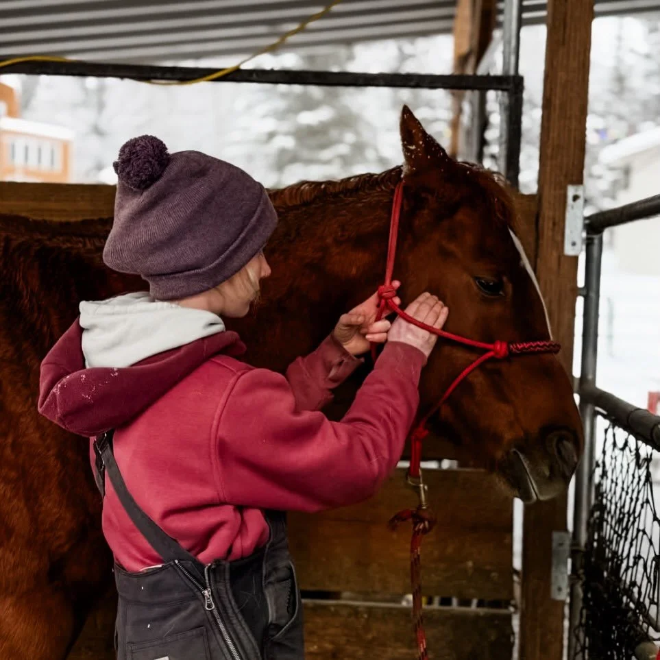 Winter may mean our horses are resting cozy at the ranch, but life has a funny way of keeping us surrounded by horses wherever we go. It&rsquo;s more than a job&hellip; it&rsquo;s a love that lasts!

One of our Western Instructors, Carolyn, is curren