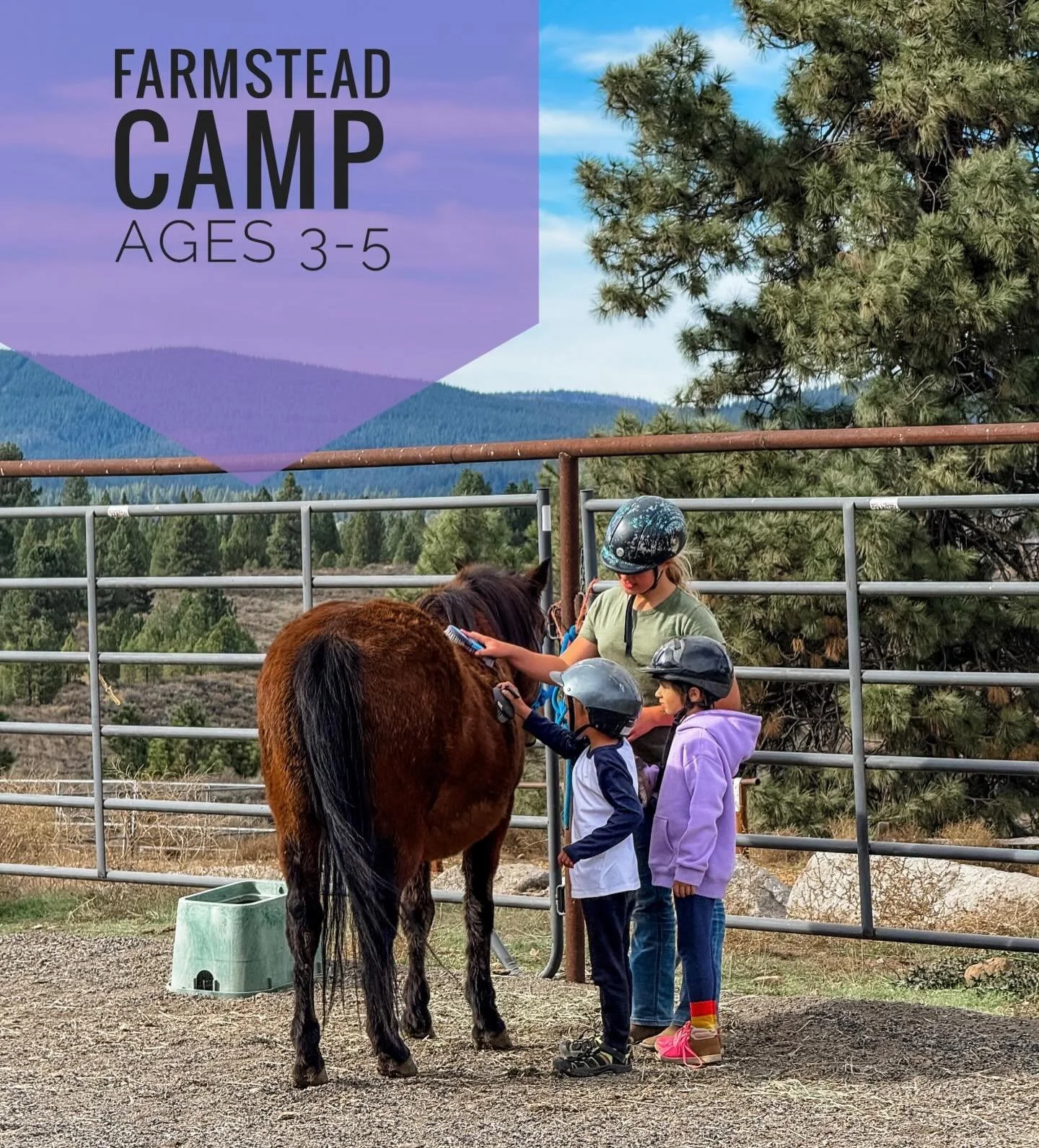 Farmstead Camp at Piping Rock is open for little learners ages 3&ndash;5, and we can&rsquo;t wait to welcome a new season of farm adventures!

Our half-day Farmstead Camp (9:00&ndash;12:00) is so much more than a summer camp&mdash;it&rsquo;s a hands-