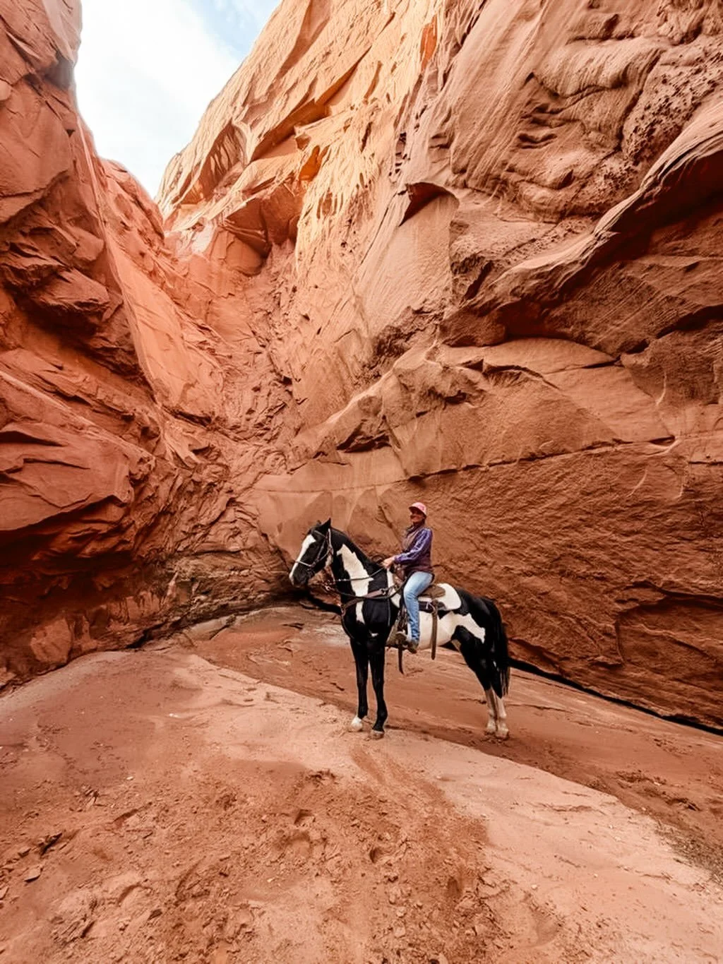 It&rsquo;s time to play another round of our favorite guessing game: where in the world is the Piping Rock staff family today? 

If you&rsquo;ve joined us for a trail ride or spent time at camp, chances are you&rsquo;ve met Kiara&mdash;one of our fan