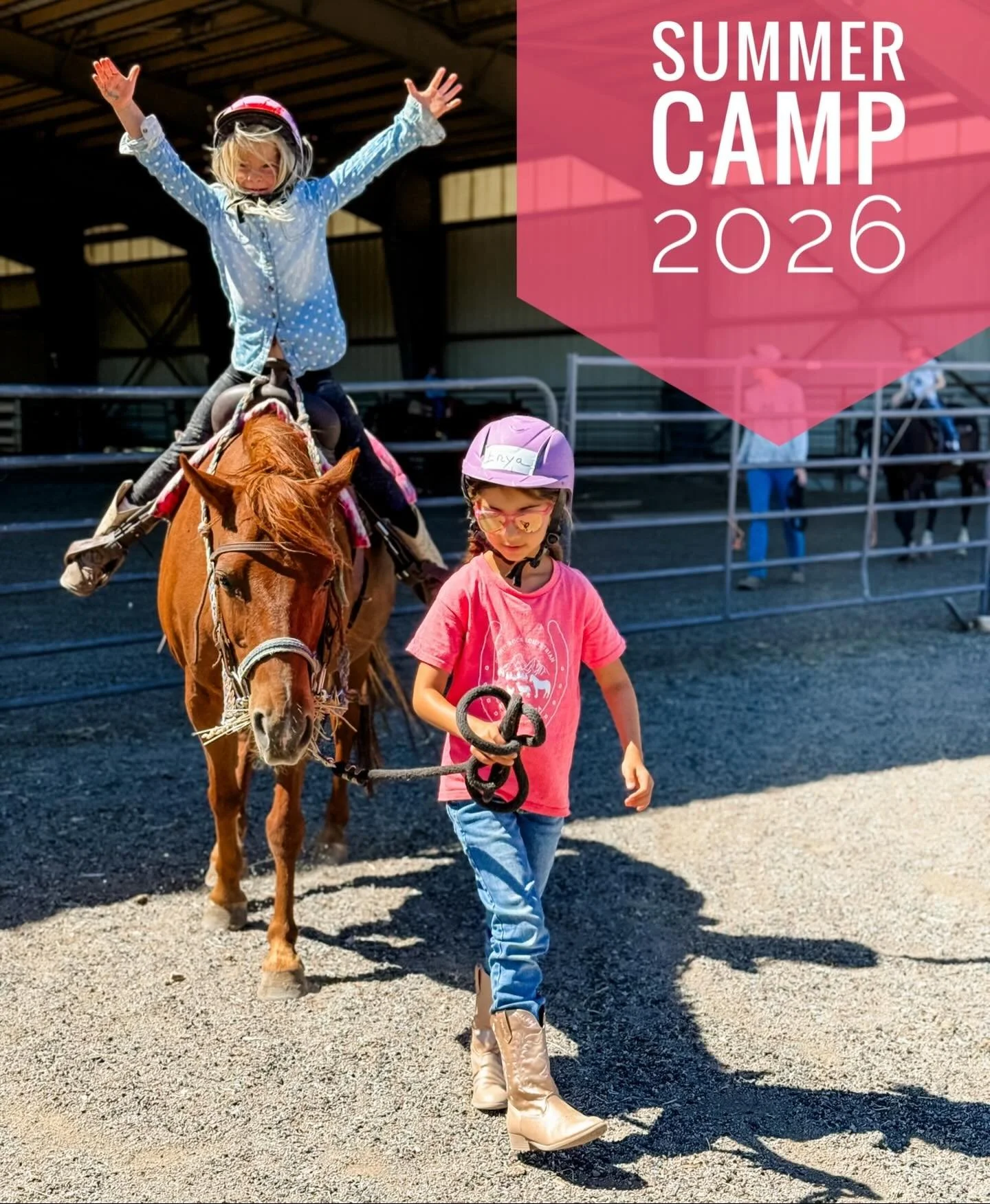 Stuck on a last-minute Christmas gift? We&rsquo;ve got you covered!

Skip the wrapping paper this year and give a gift filled with fresh air, new skills, and unforgettable memories. Our Summer Camps for 2026 are officially LIVE and make the perfect l