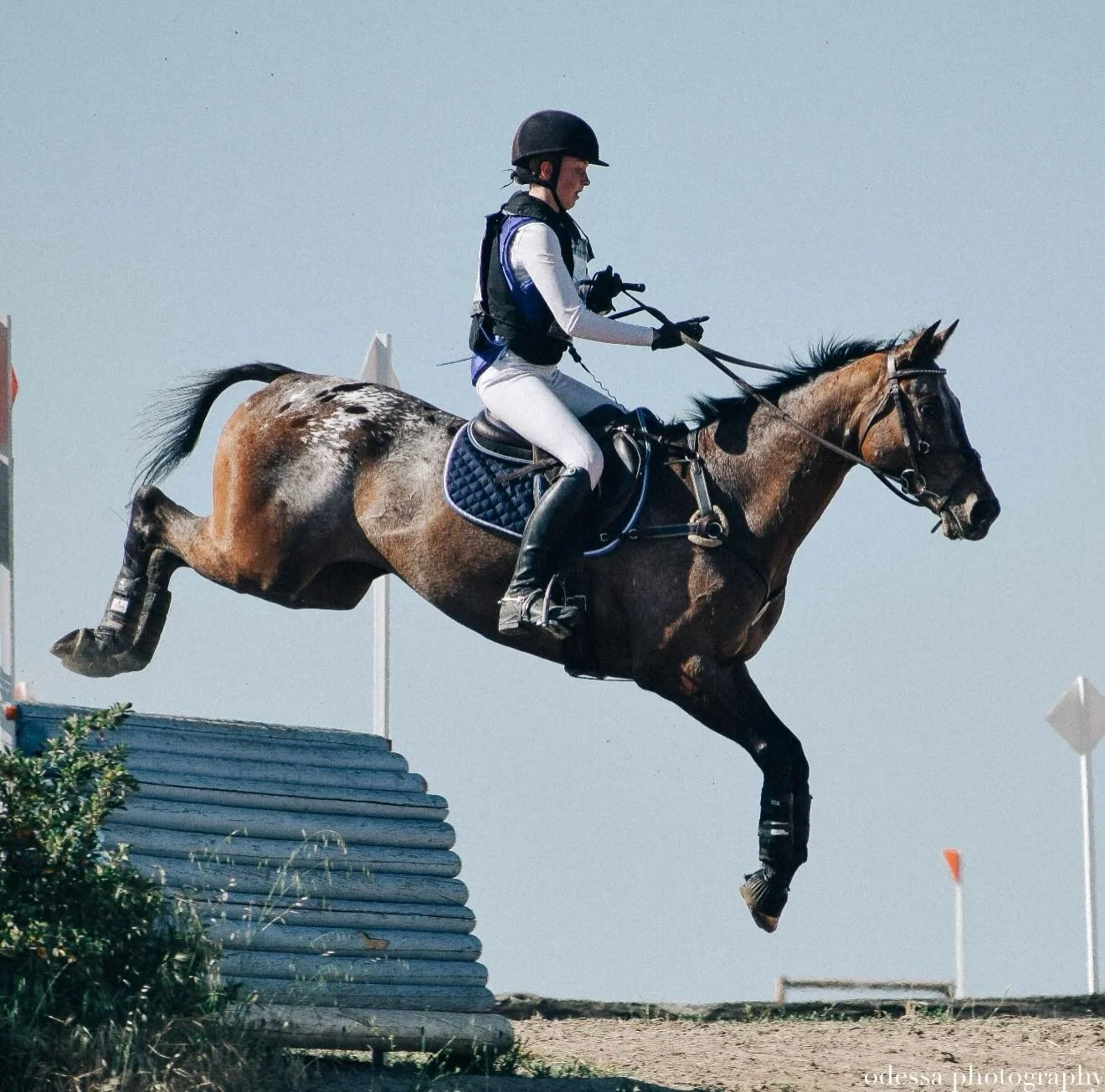 Meet the Staff: Ella Clifford

Ella was born and raised in Truckee and has been part of the Piping Rock family since she was just 7 years old! From her very first ride to years spent growing up at the barn, Piping Rock has always held a special place