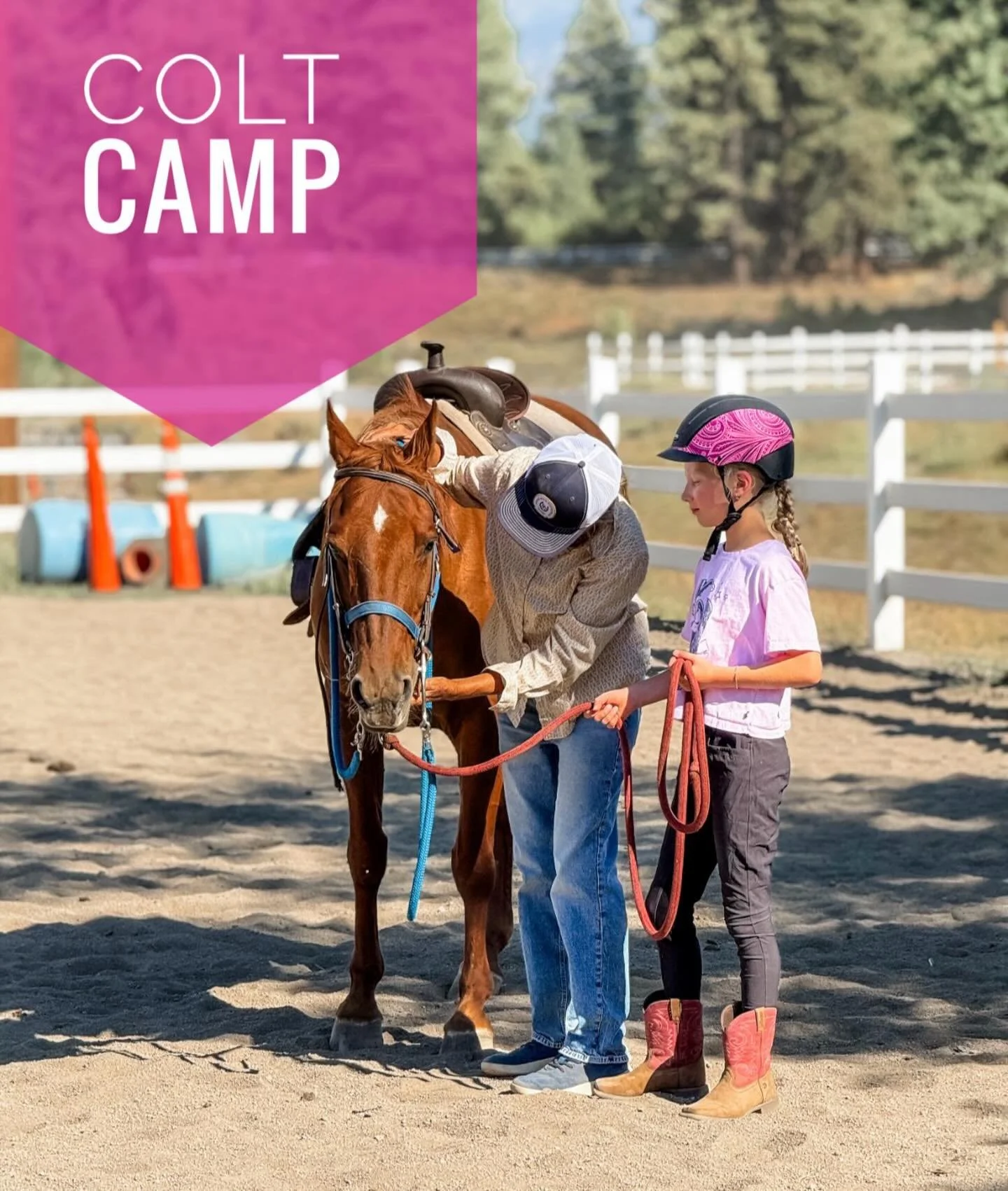 Looking for the perfect next step for your young rider? Colt Camp at Piping Rock Equestrian Center is designed just for kids who are eager to ride more but aren&rsquo;t quite ready for a full-size horse!

This fun and confidence-building camp introdu