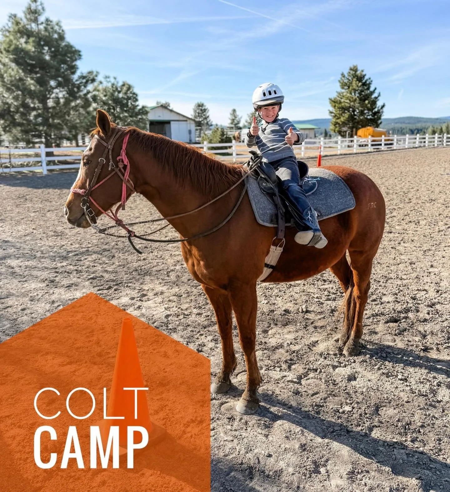 Colt Camp is more than just a week of riding&mdash;it&rsquo;s a summer highlight!

Colt Camp is the perfect next step for young riders who are eager for more time in the saddle but not quite ready to transition to a full-size horse. Designed with con