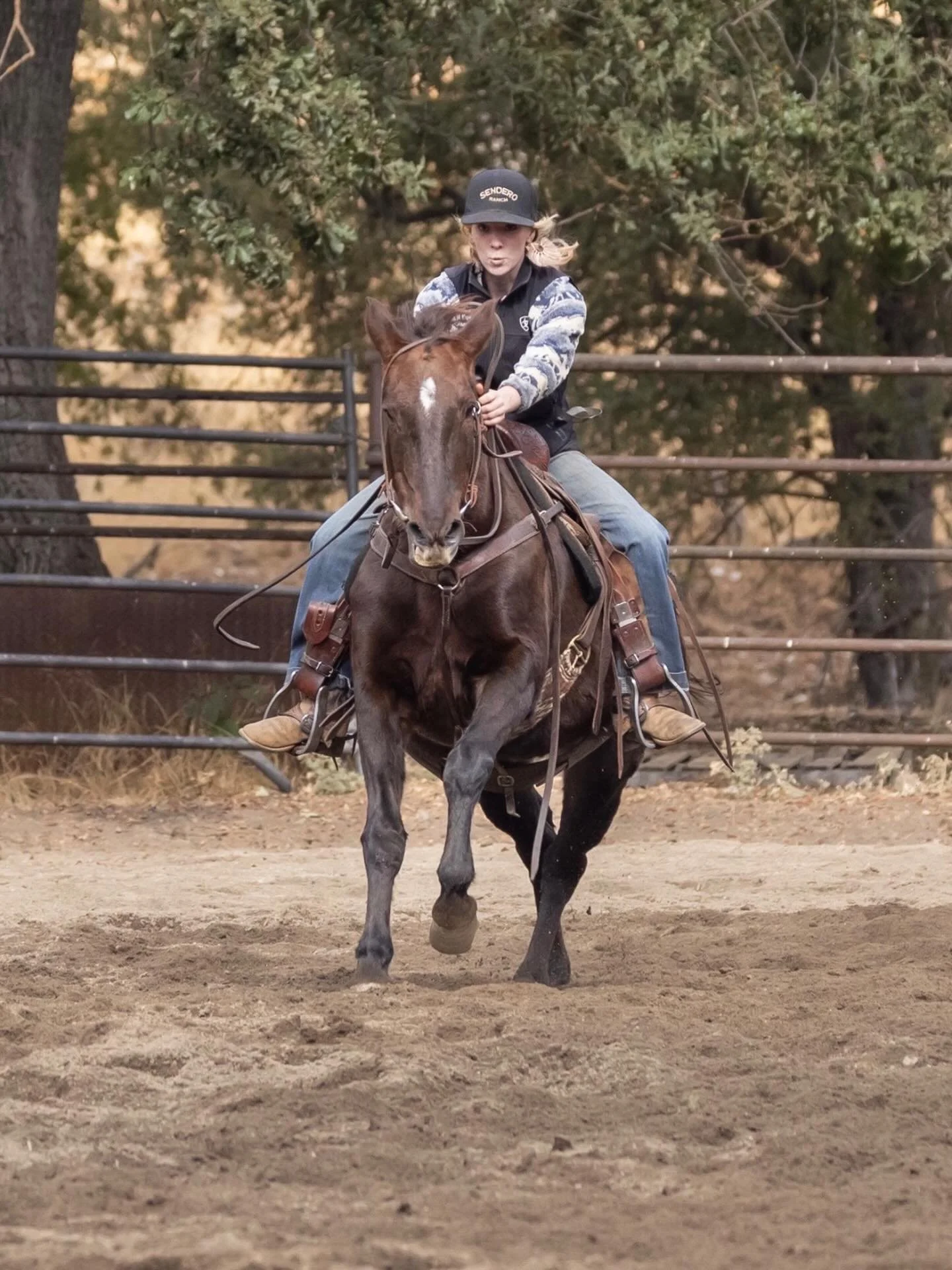 Meet Carolyn &mdash; bringing energy, skill, and a one-of-a-kind story to the Piping Rock team!

Originally from Alaska, Carolyn recently made the move to the beautiful Sierra Valley, where she&rsquo;s quickly settled into mountain life and found her