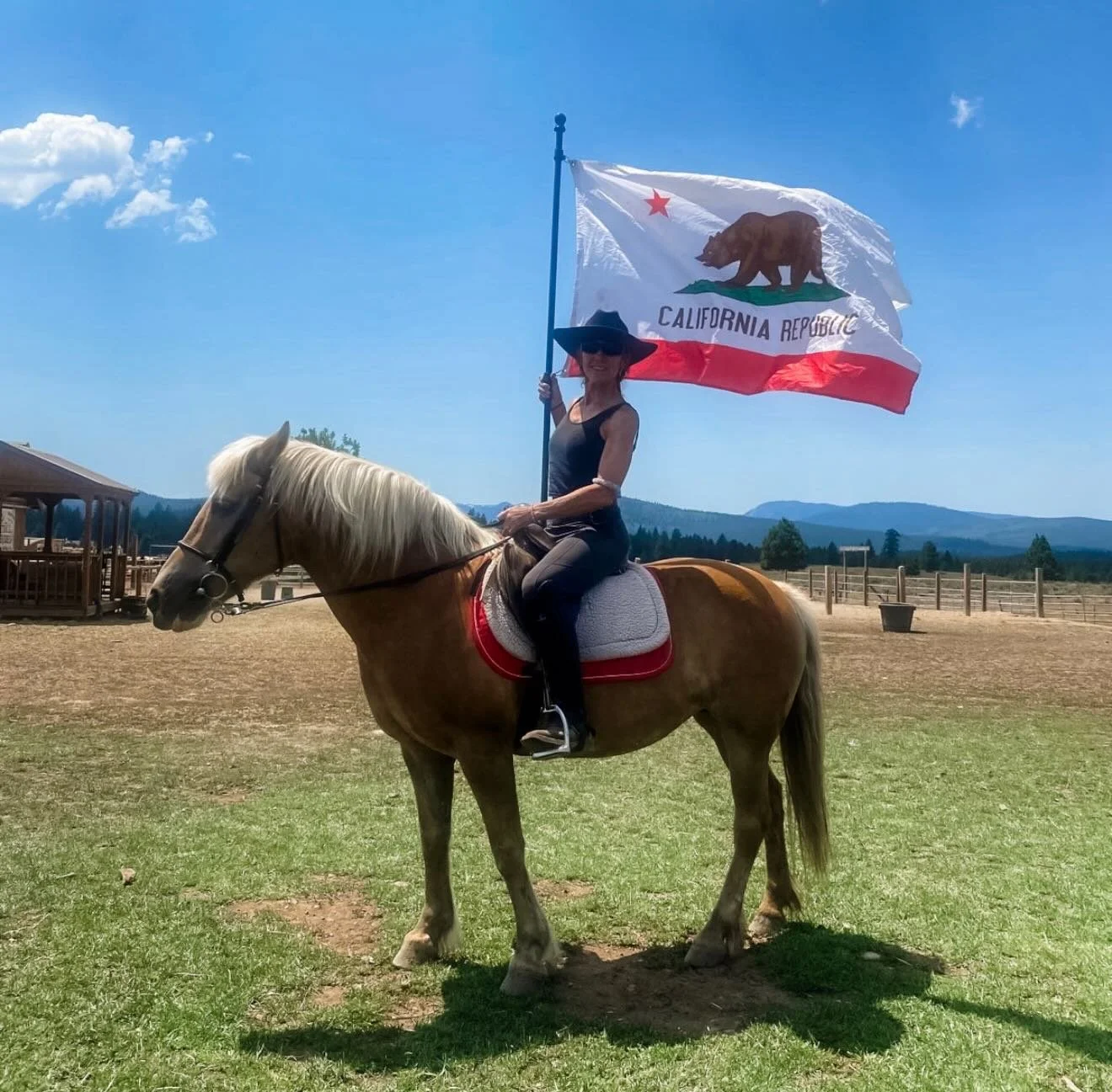 Meet the Staff: Ms. Elaina Ashe-Harning &mdash; our Pony &amp; Critter Gal!

For the past 9 years, Ms. Elaina has brought her passion for animals, agriculture, and youth development to Piping Rock through our beloved camps. 

With a background that r